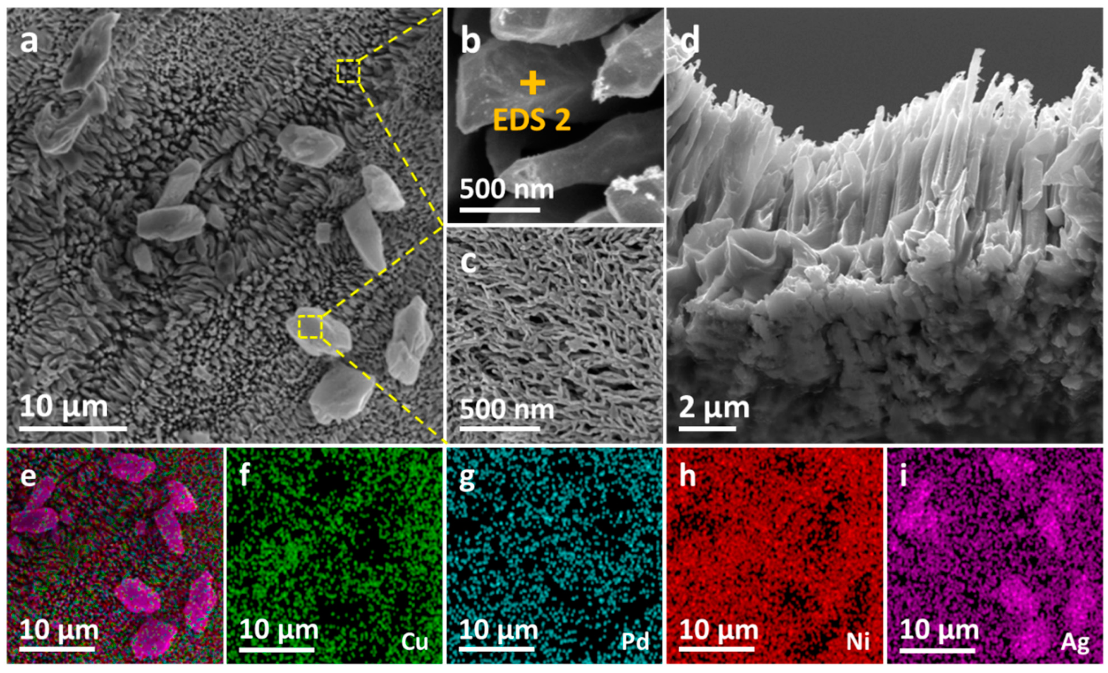 Metals 15 00114 g005