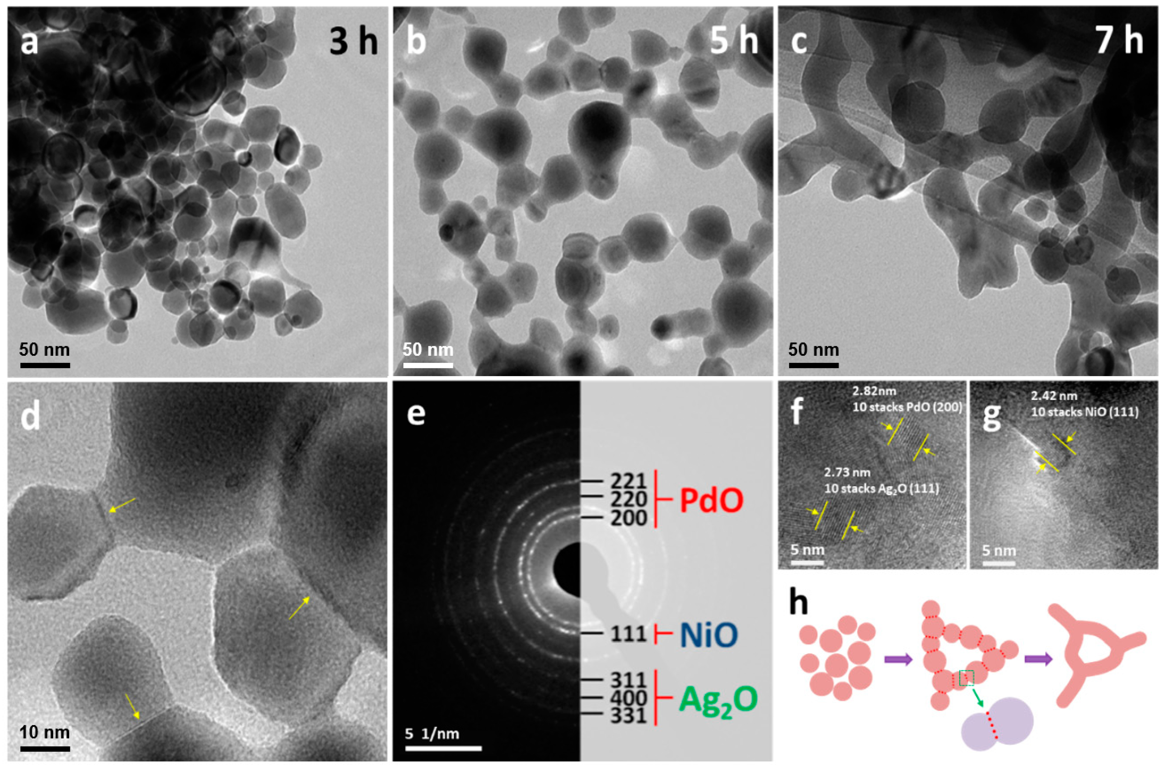 Metals 15 00114 g012