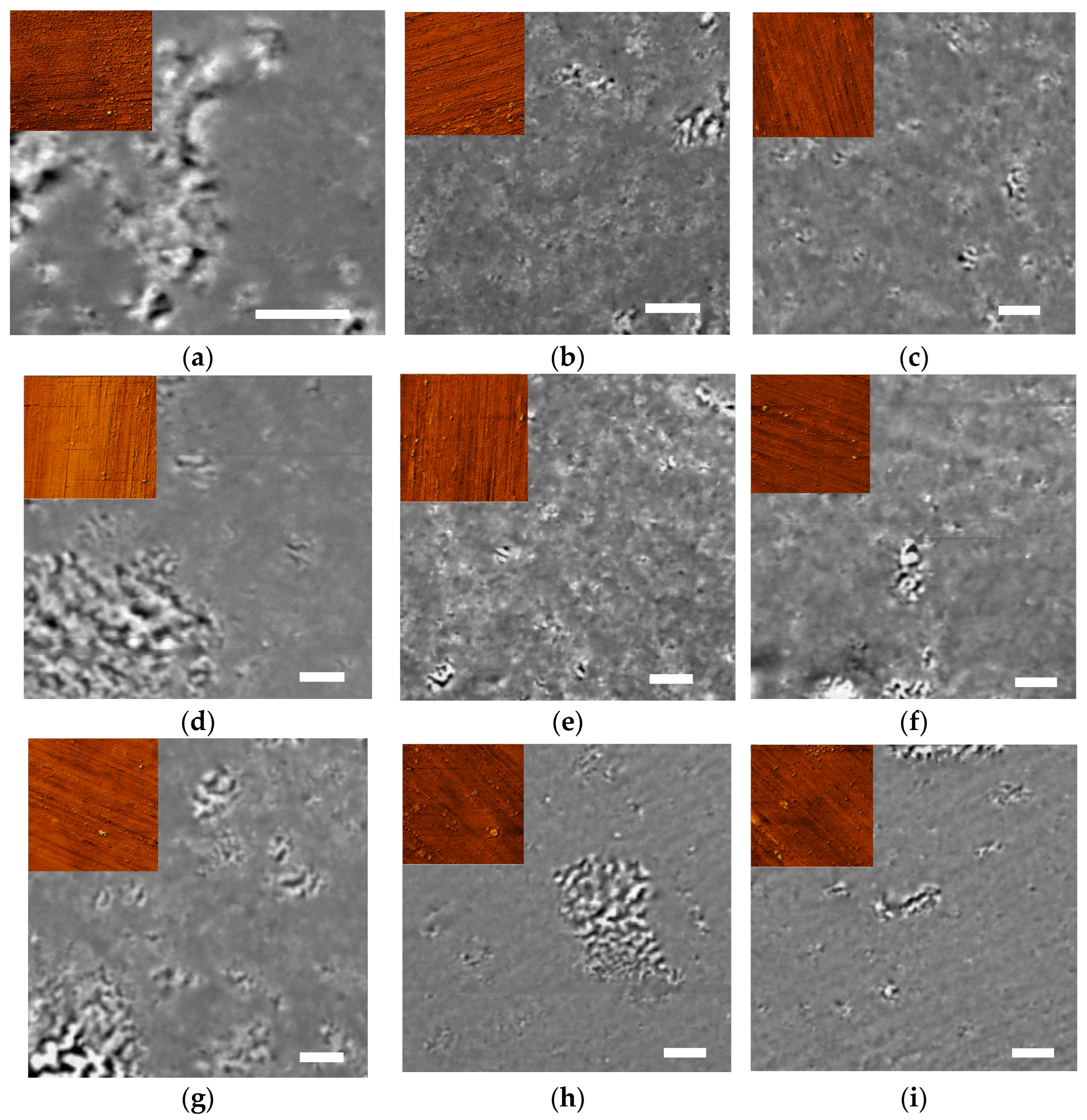 Metals 15 00118 g007