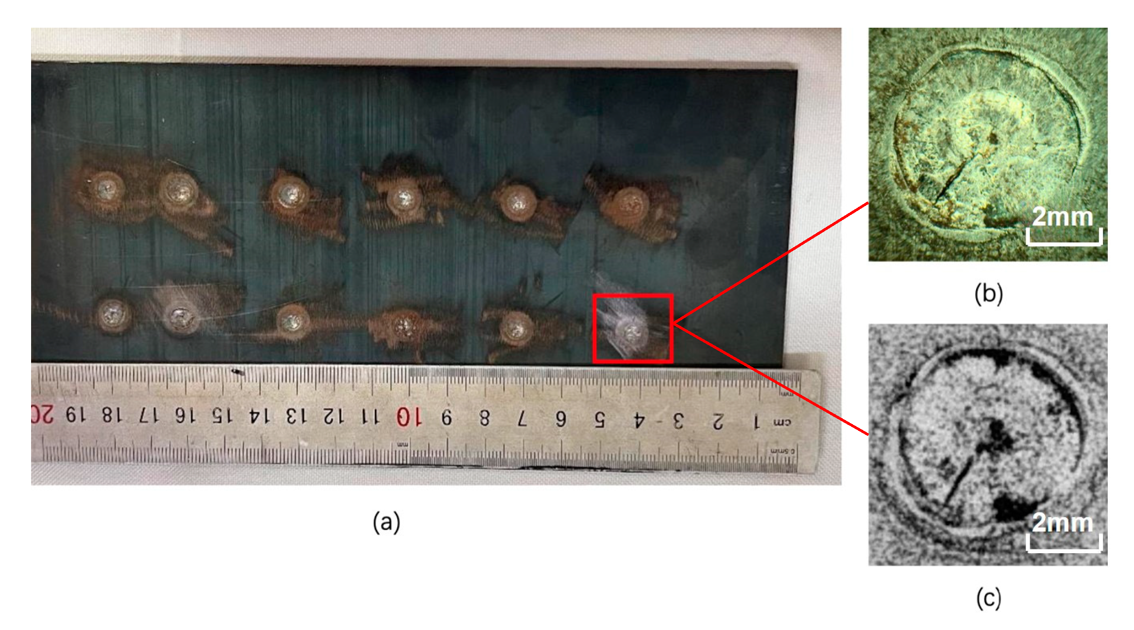 Metals 15 00119 g006