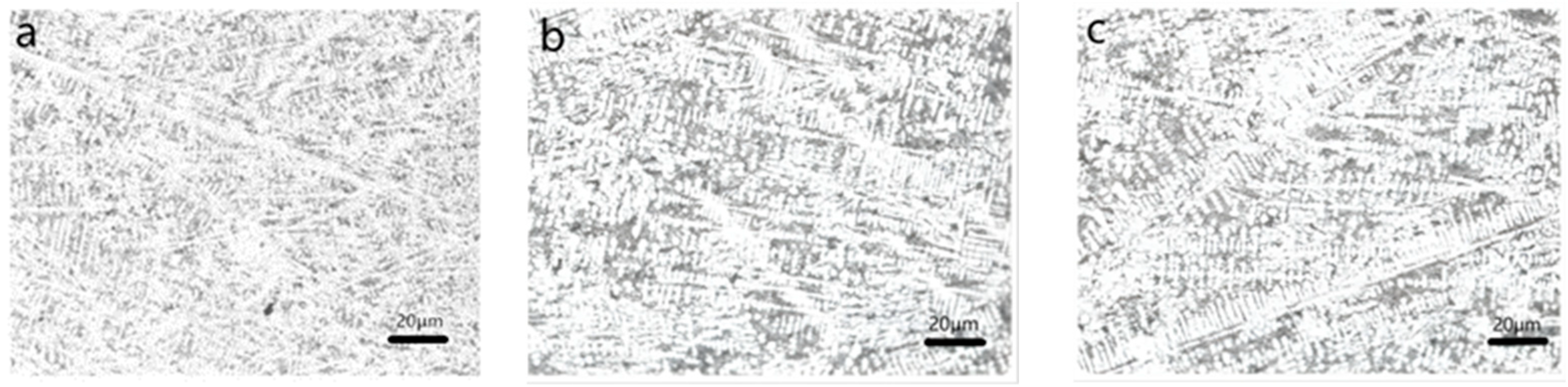 Metals 15 00124 g010