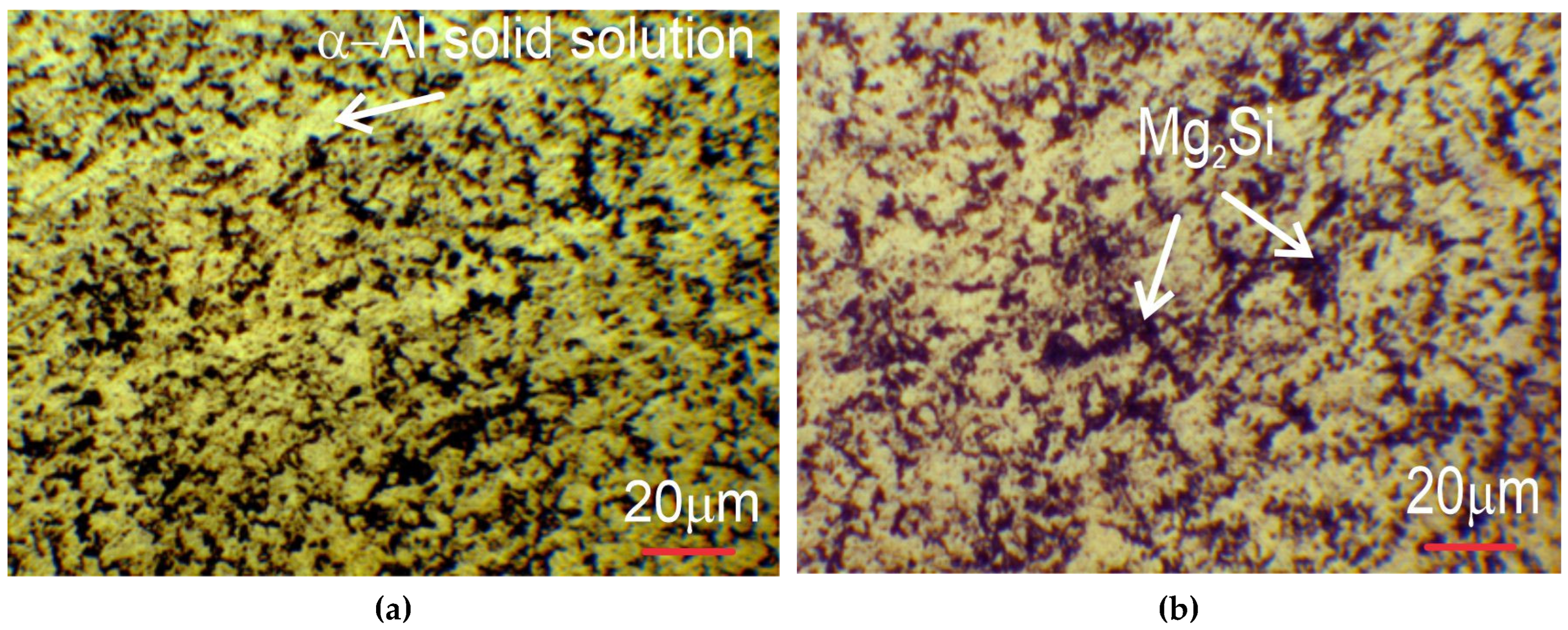 Metals 15 00127 g001a