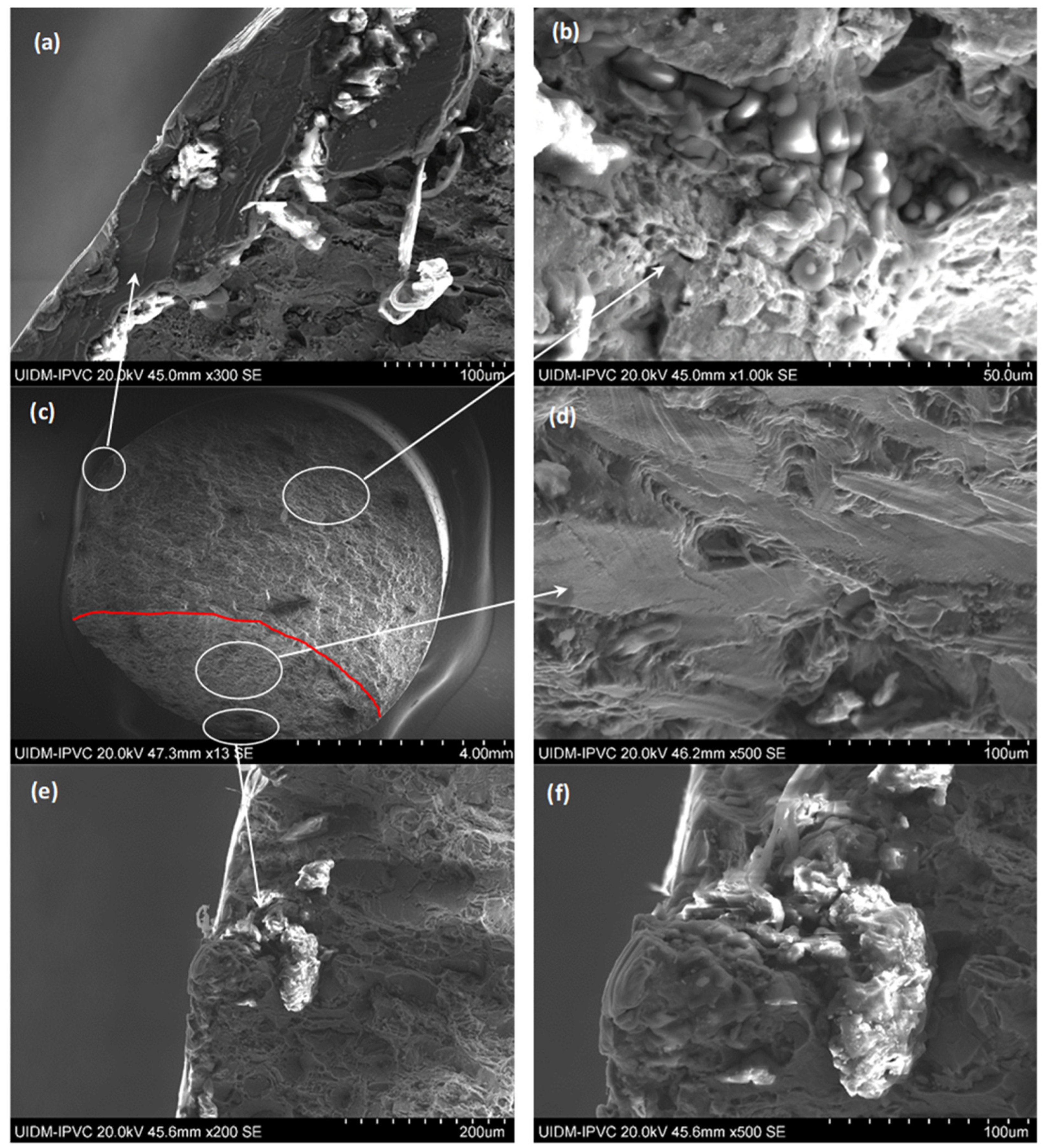 Metals 15 00127 g009