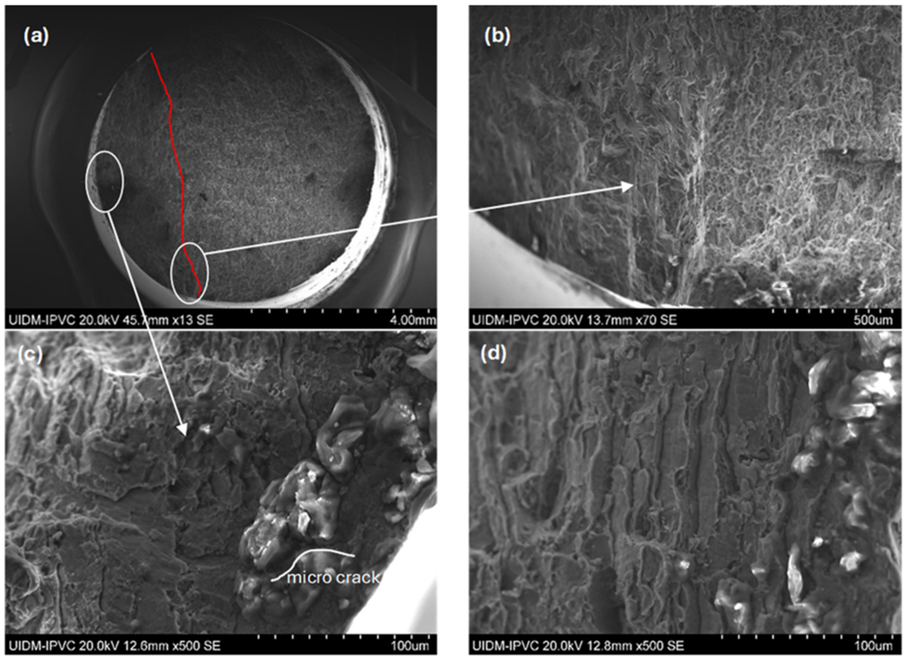 Metals 15 00127 g010