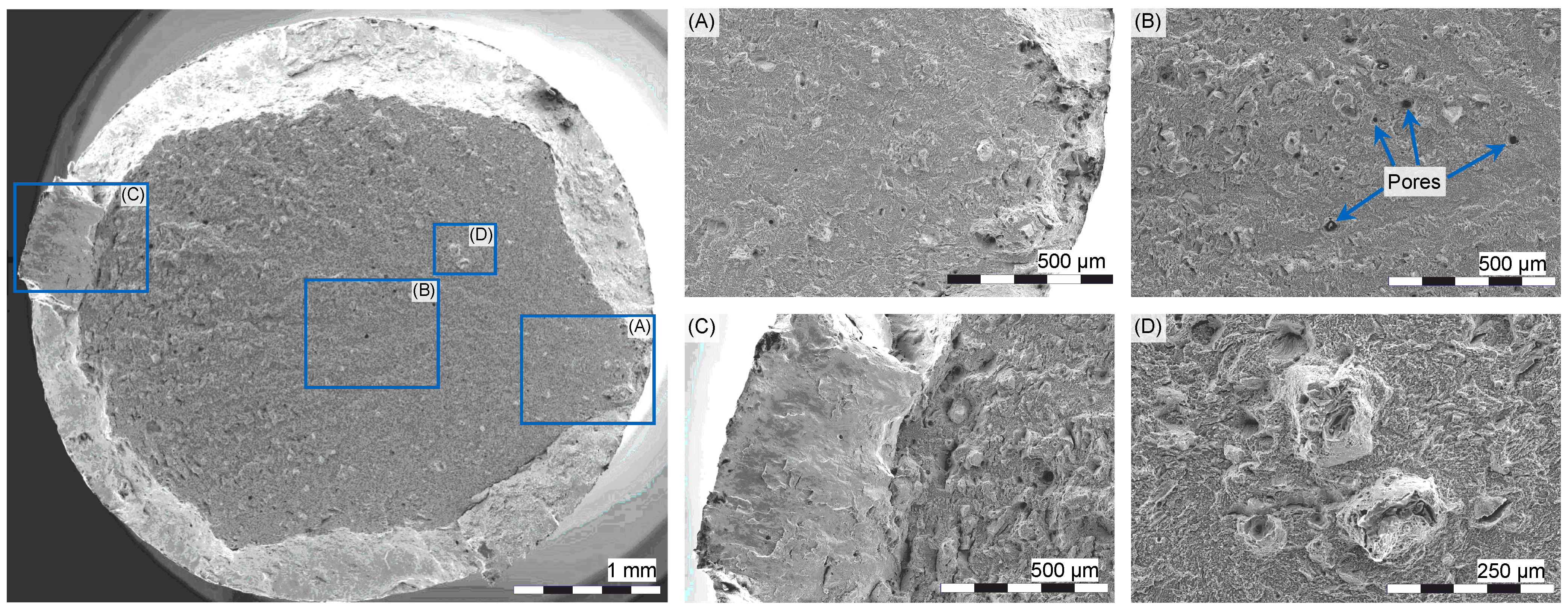 Metals 15 00134 g006