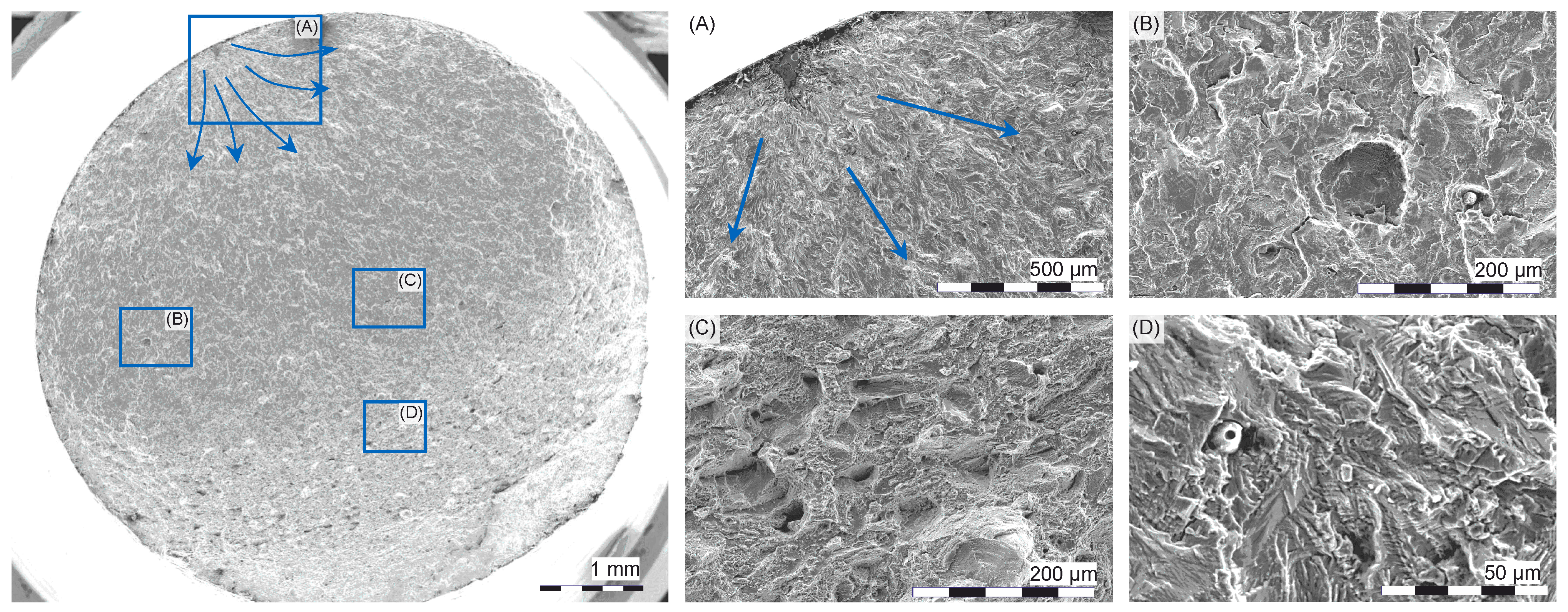 Metals 15 00134 g008