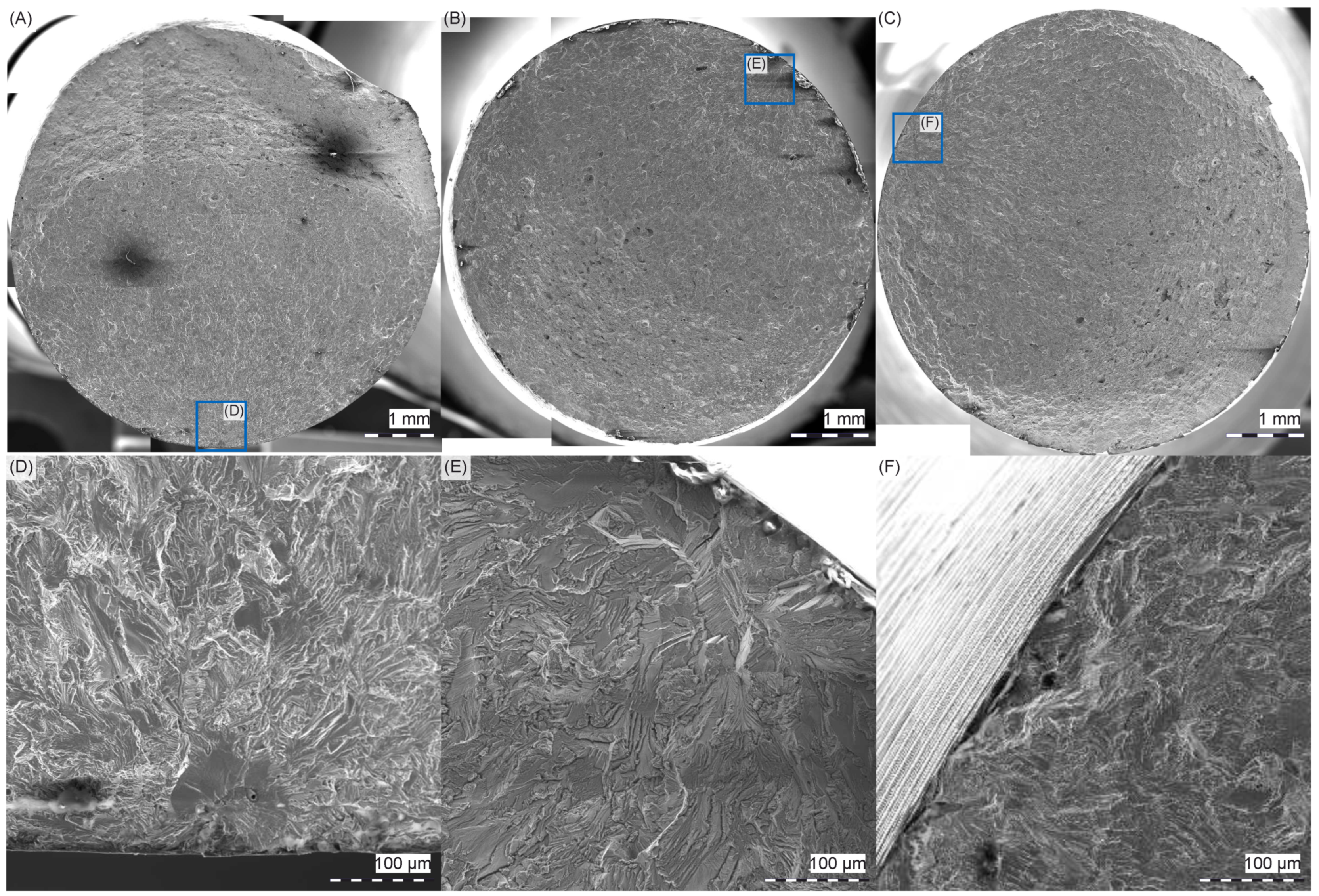 Metals 15 00134 g012