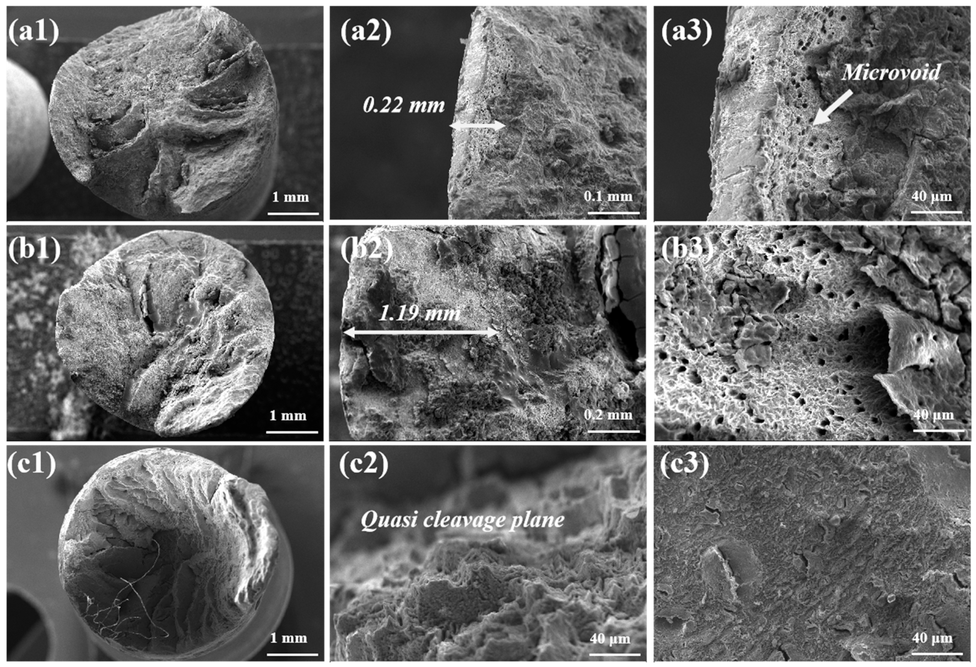 Metals 15 00139 g008