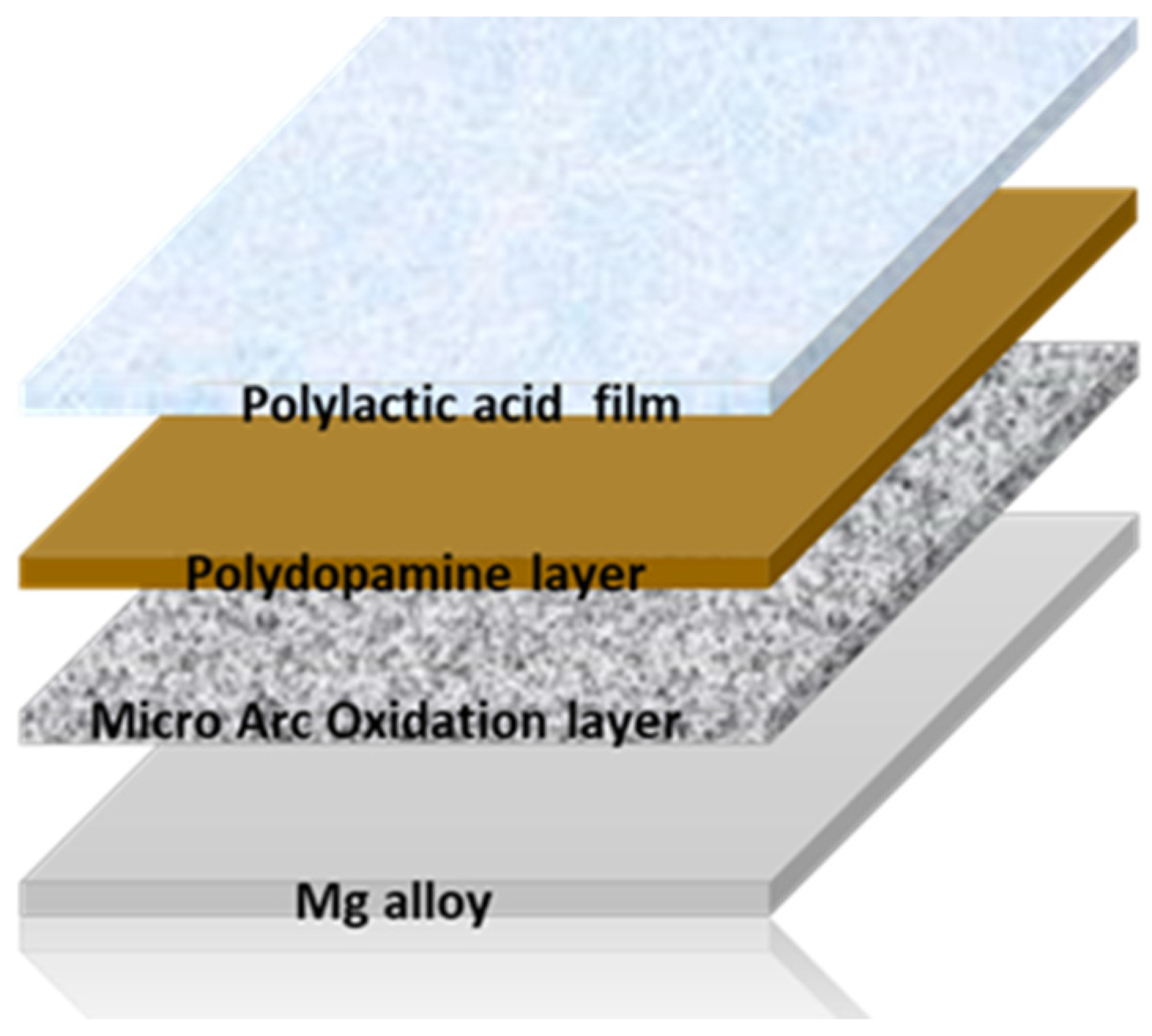 Metals 15 00146 g002