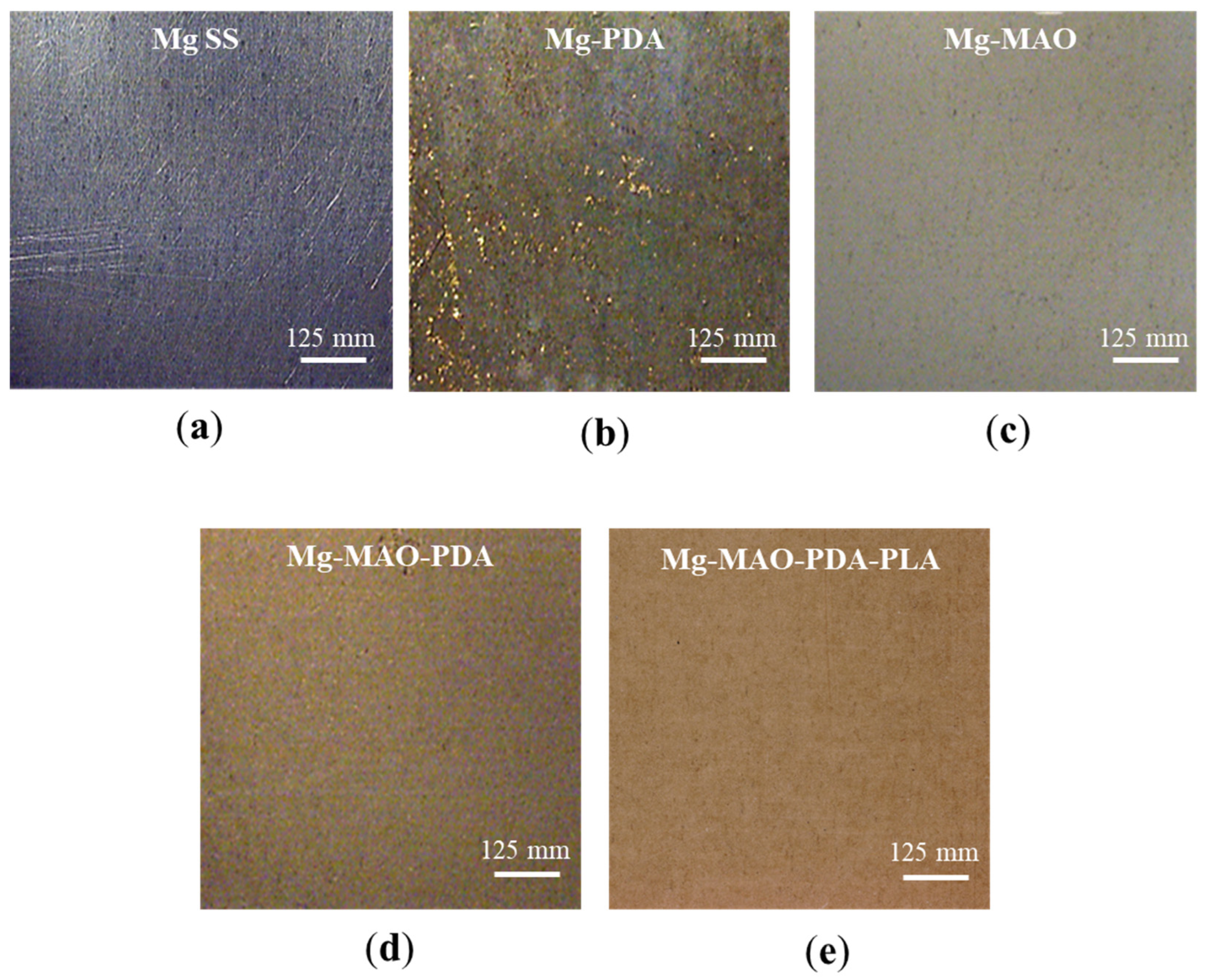 Metals 15 00146 g003