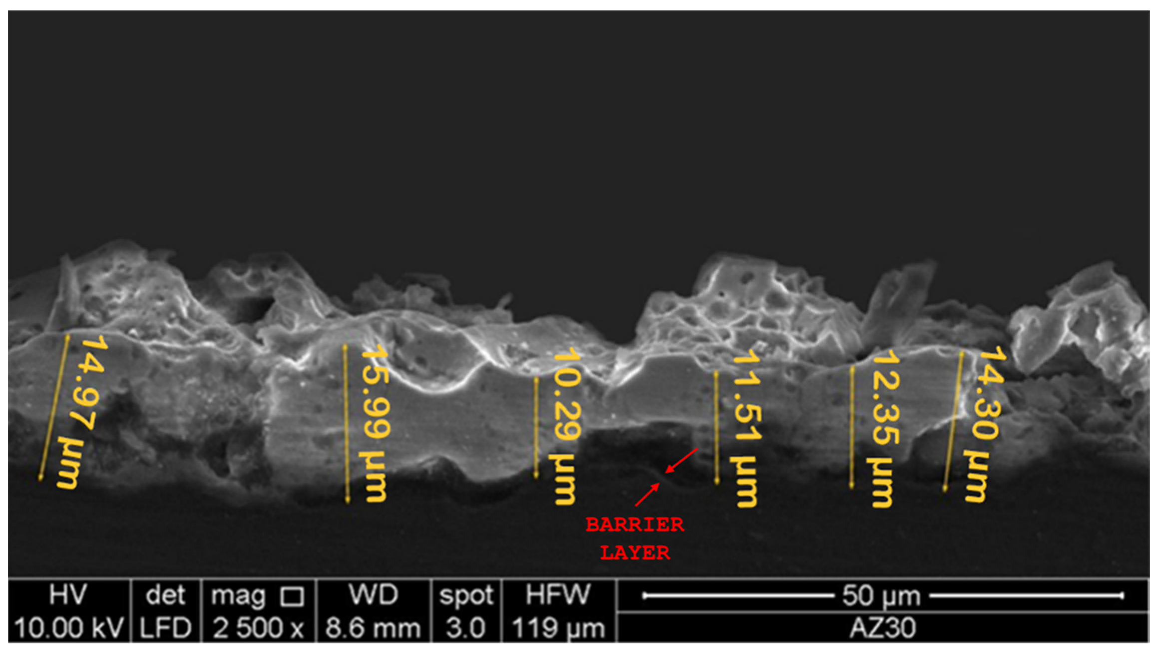 Metals 15 00146 g005