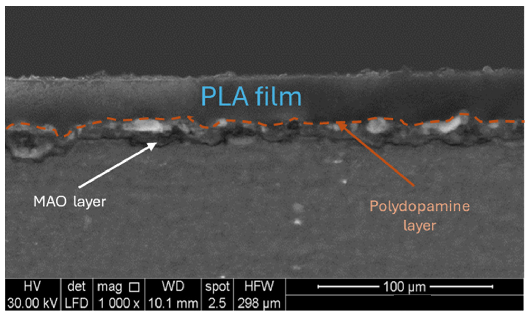 Metals 15 00146 g007