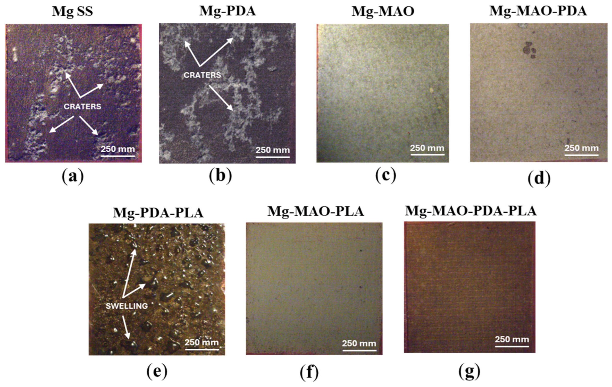 Metals 15 00146 g018