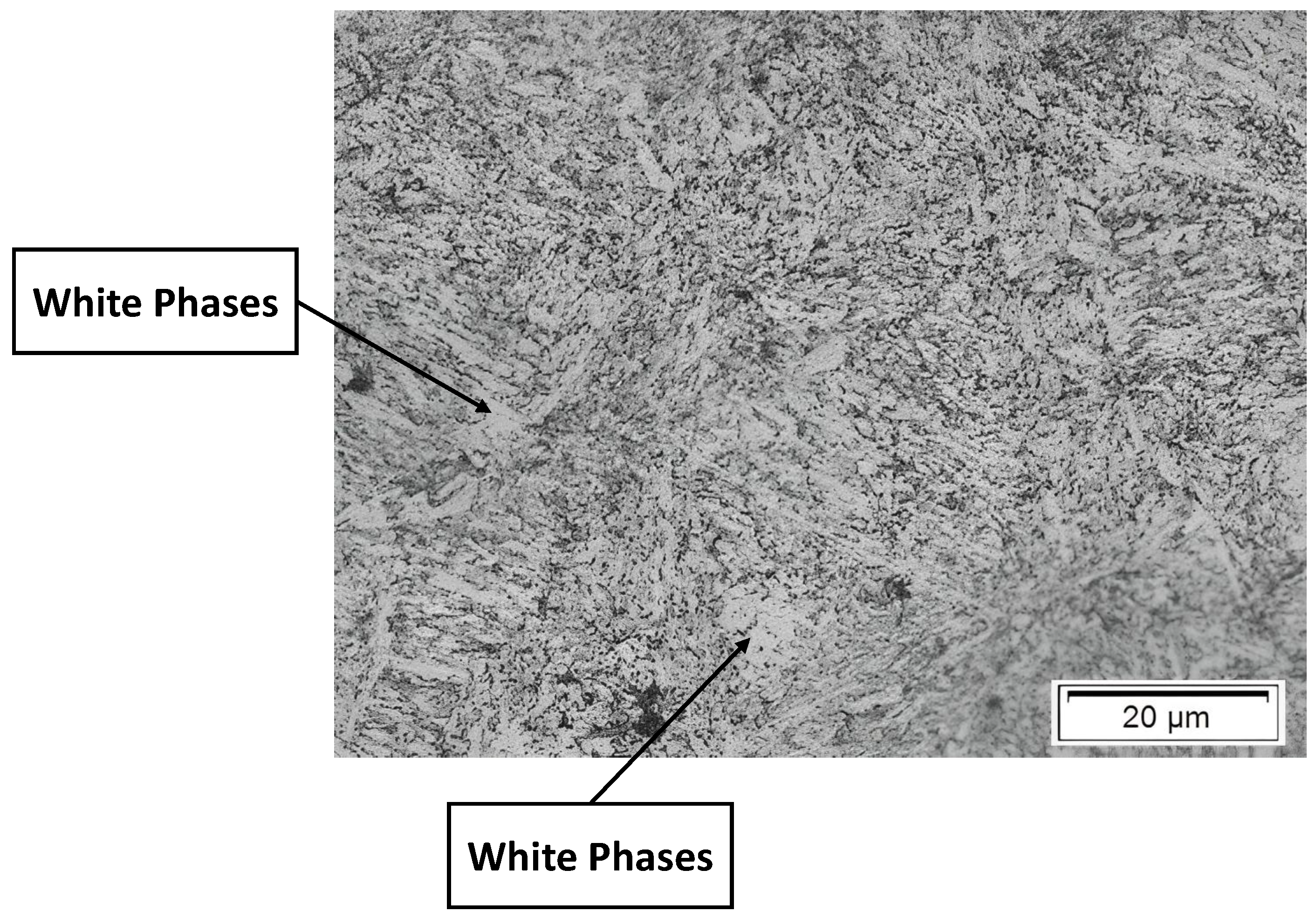 Metals 15 00152 g002