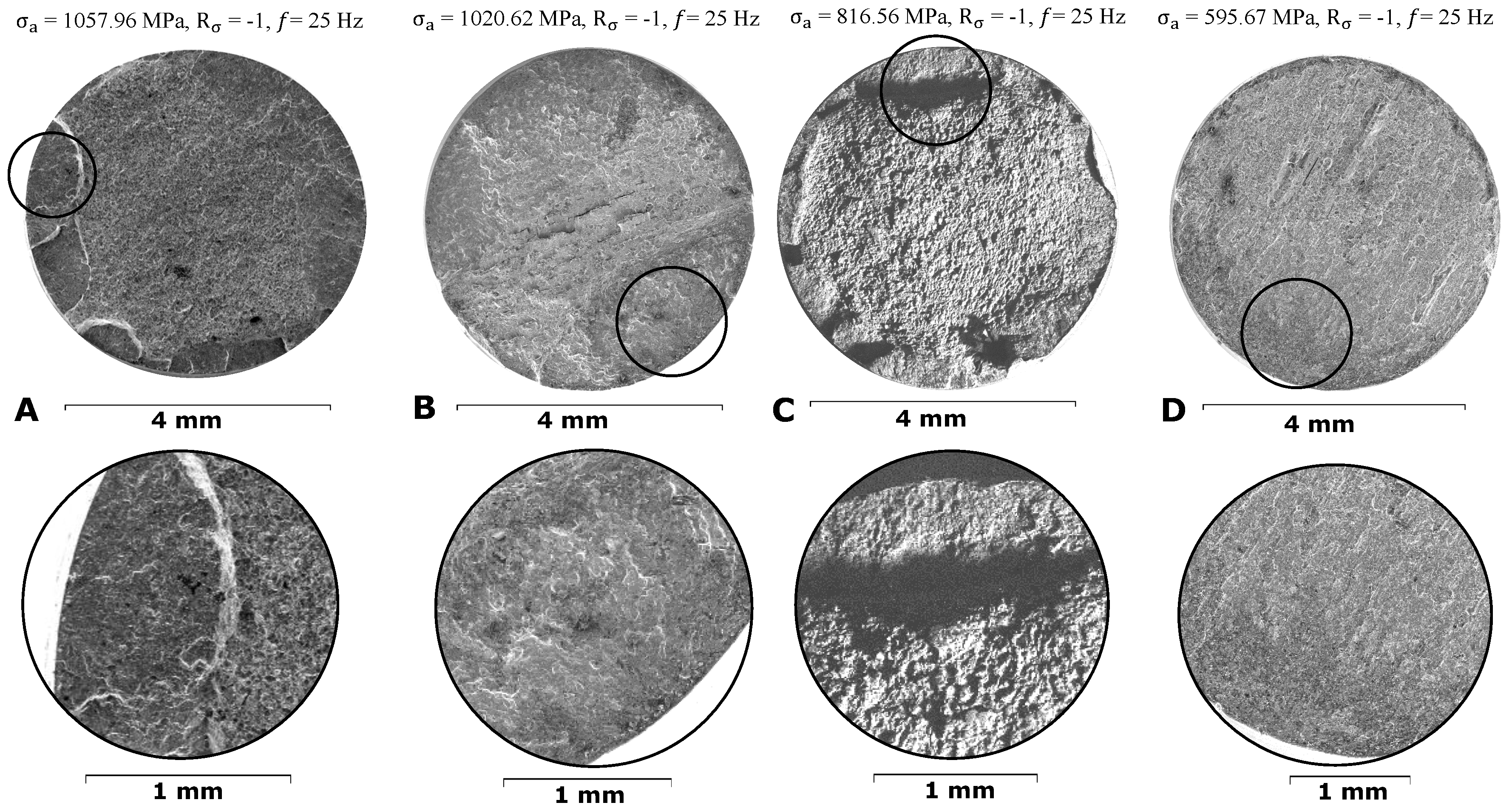 Metals 15 00152 g020
