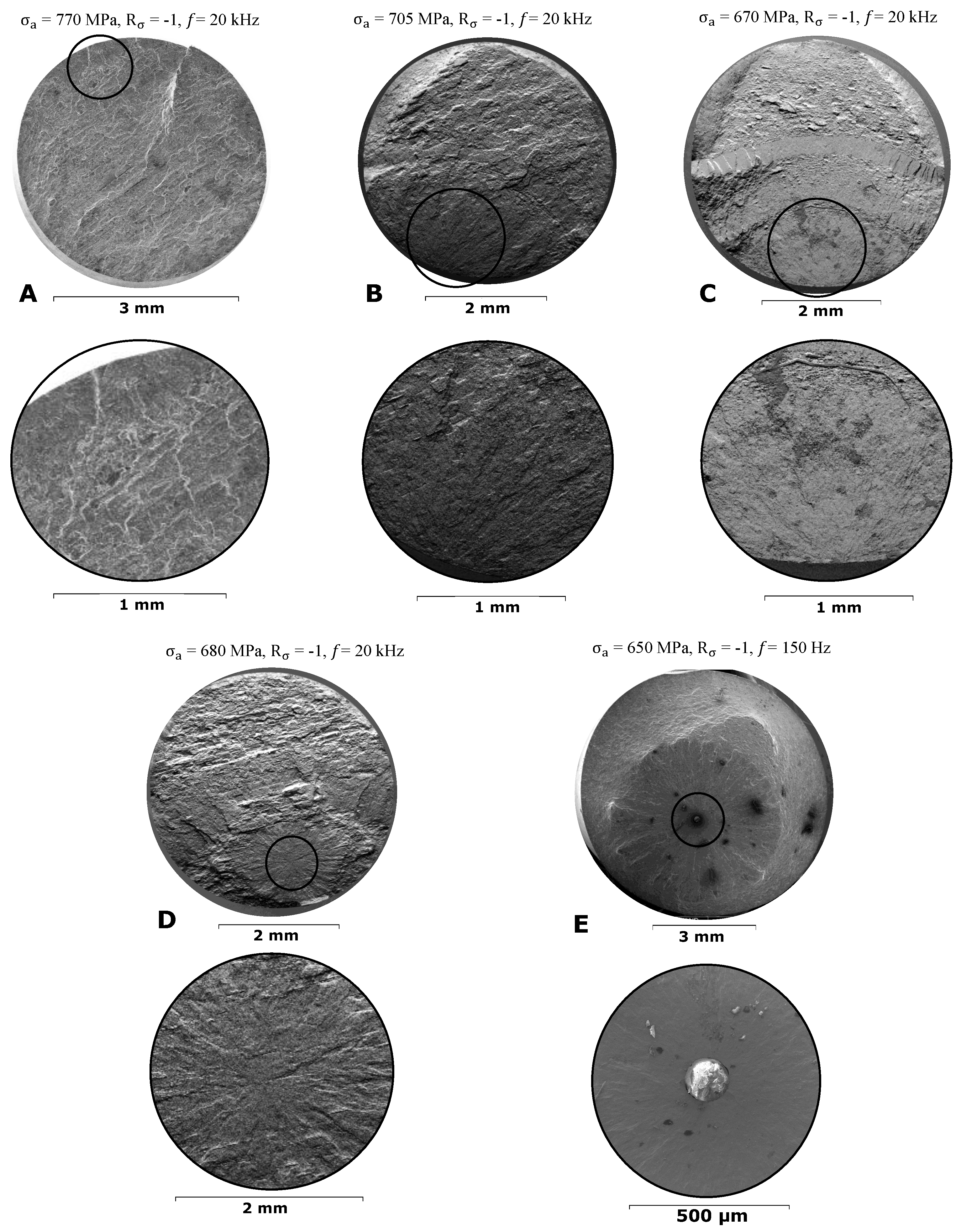 Metals 15 00152 g021