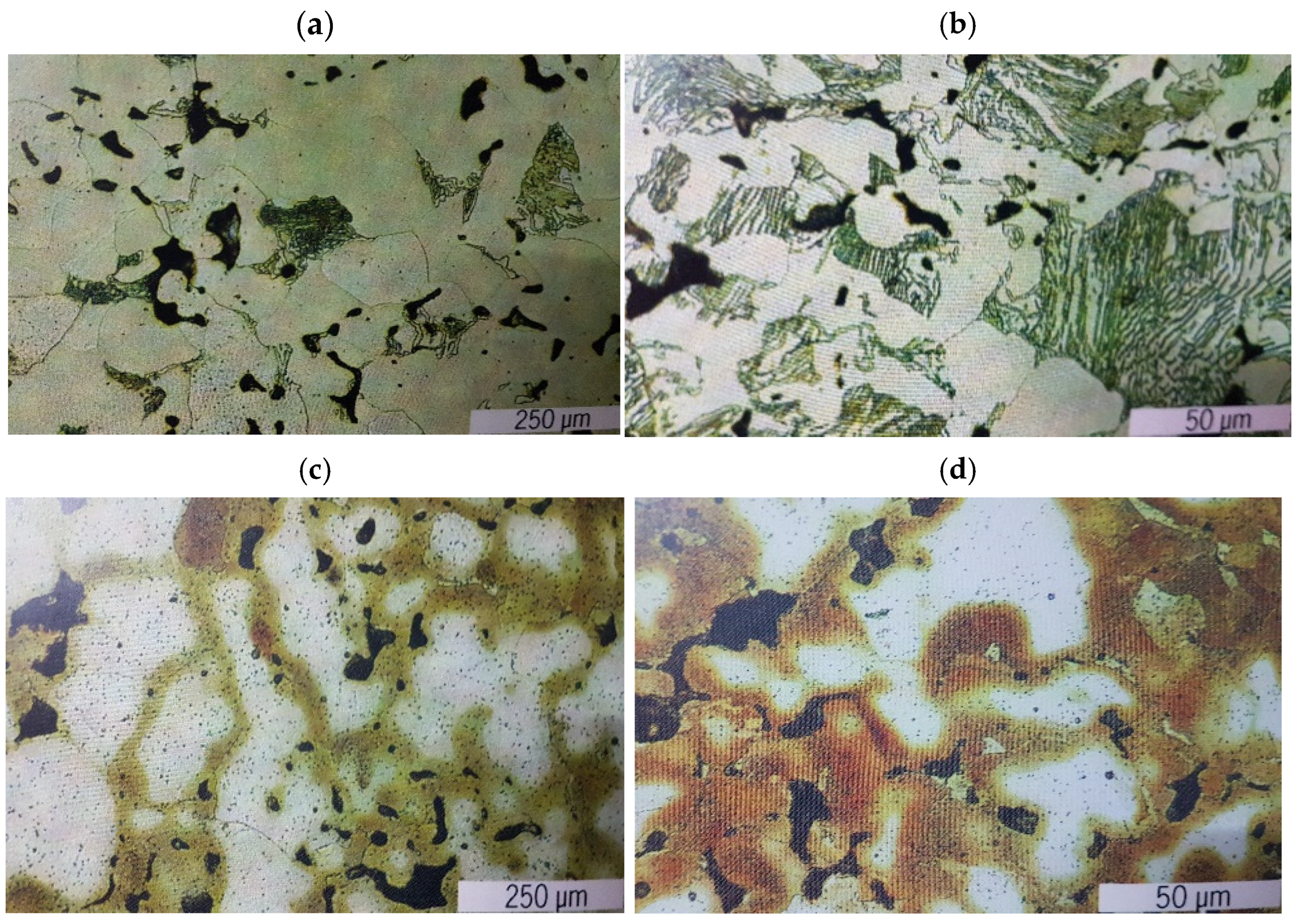 Metals 15 00155 g006