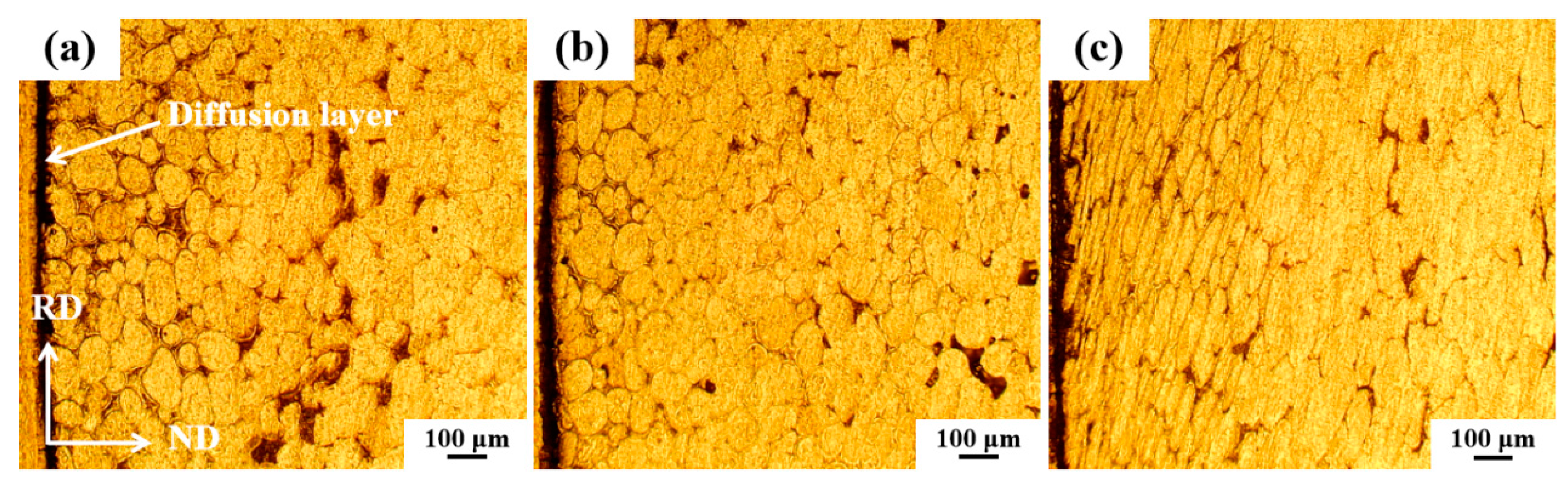 Metals 15 00162 g008