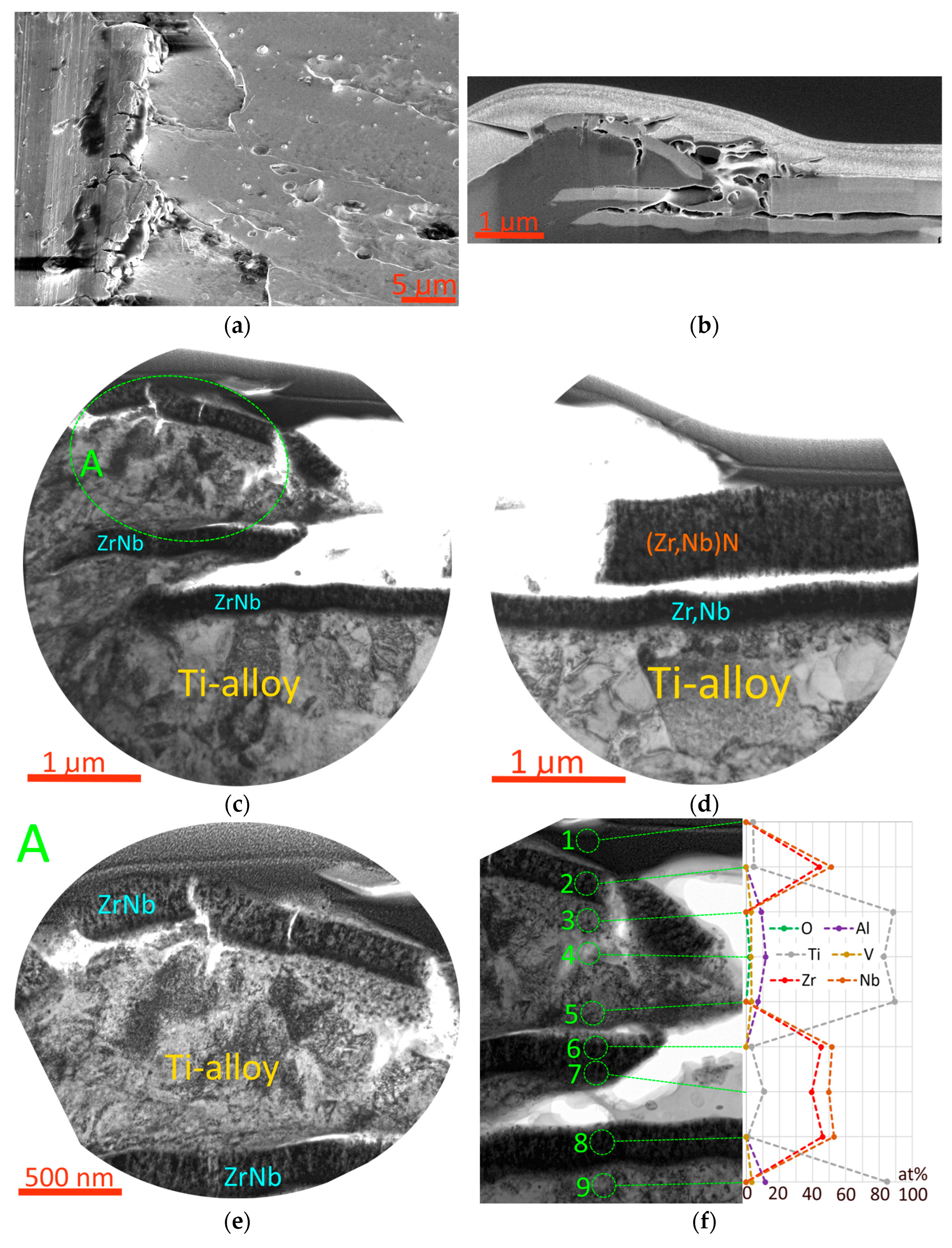 Metals 15 00163 g014