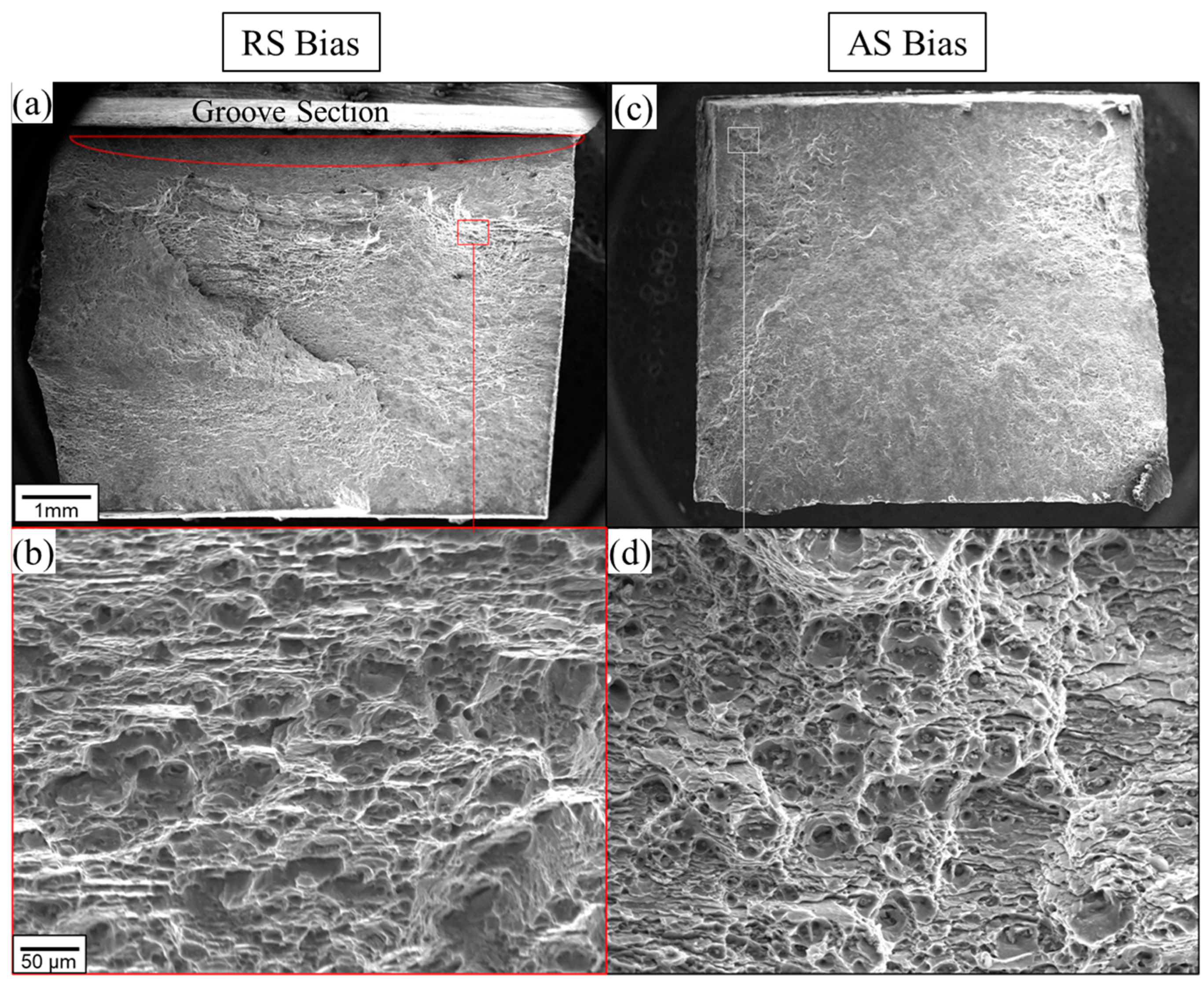 Metals 15 00164 g010