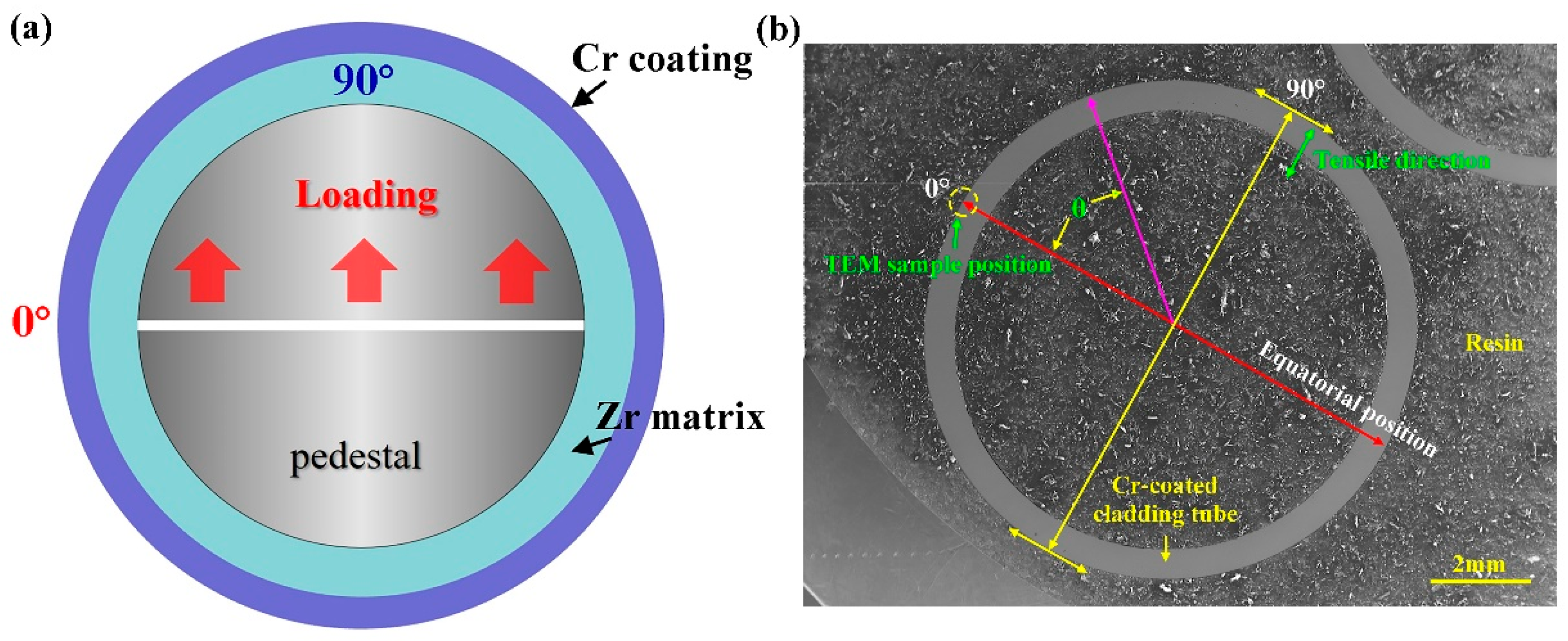 Metals 15 00179 g001