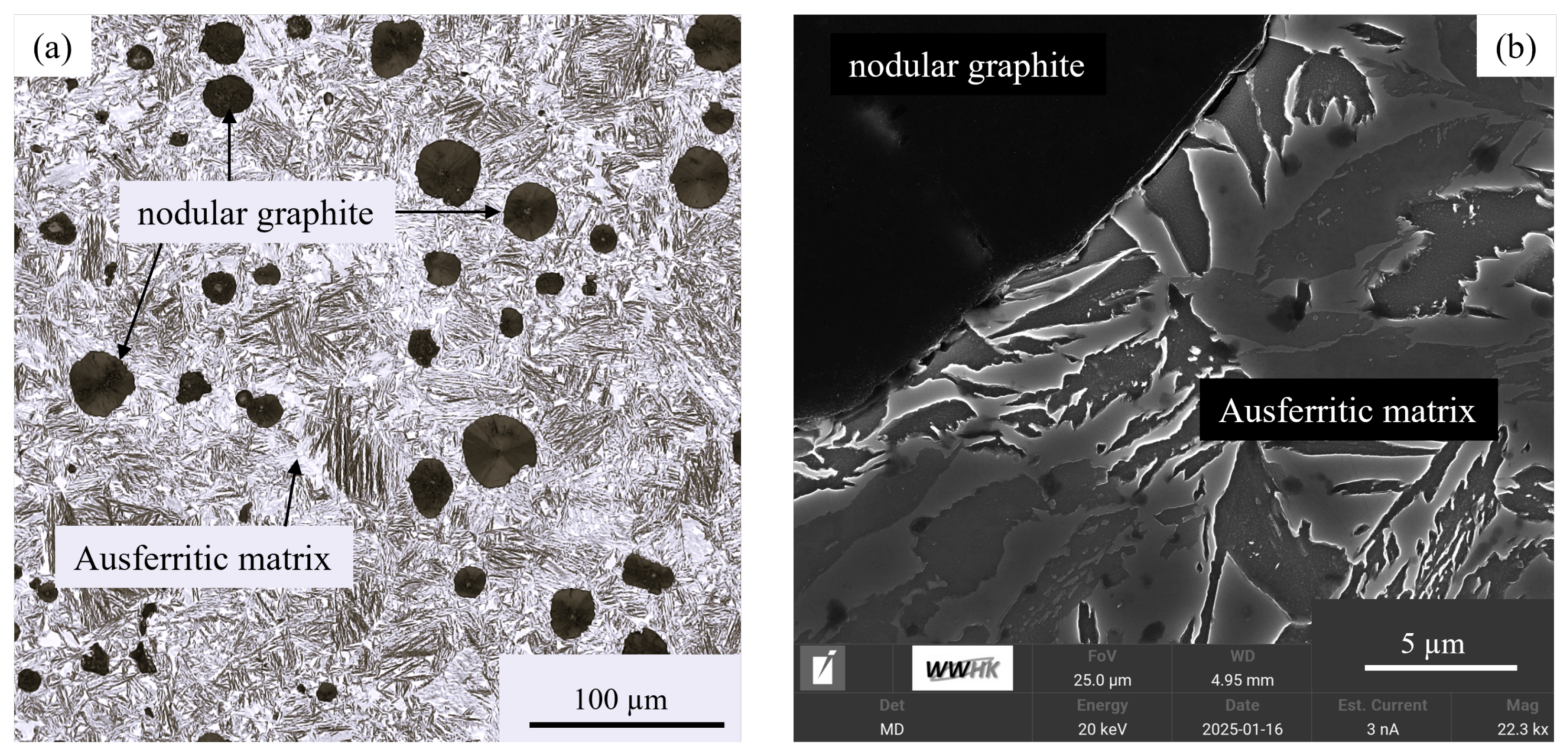 Metals 15 00191 g003