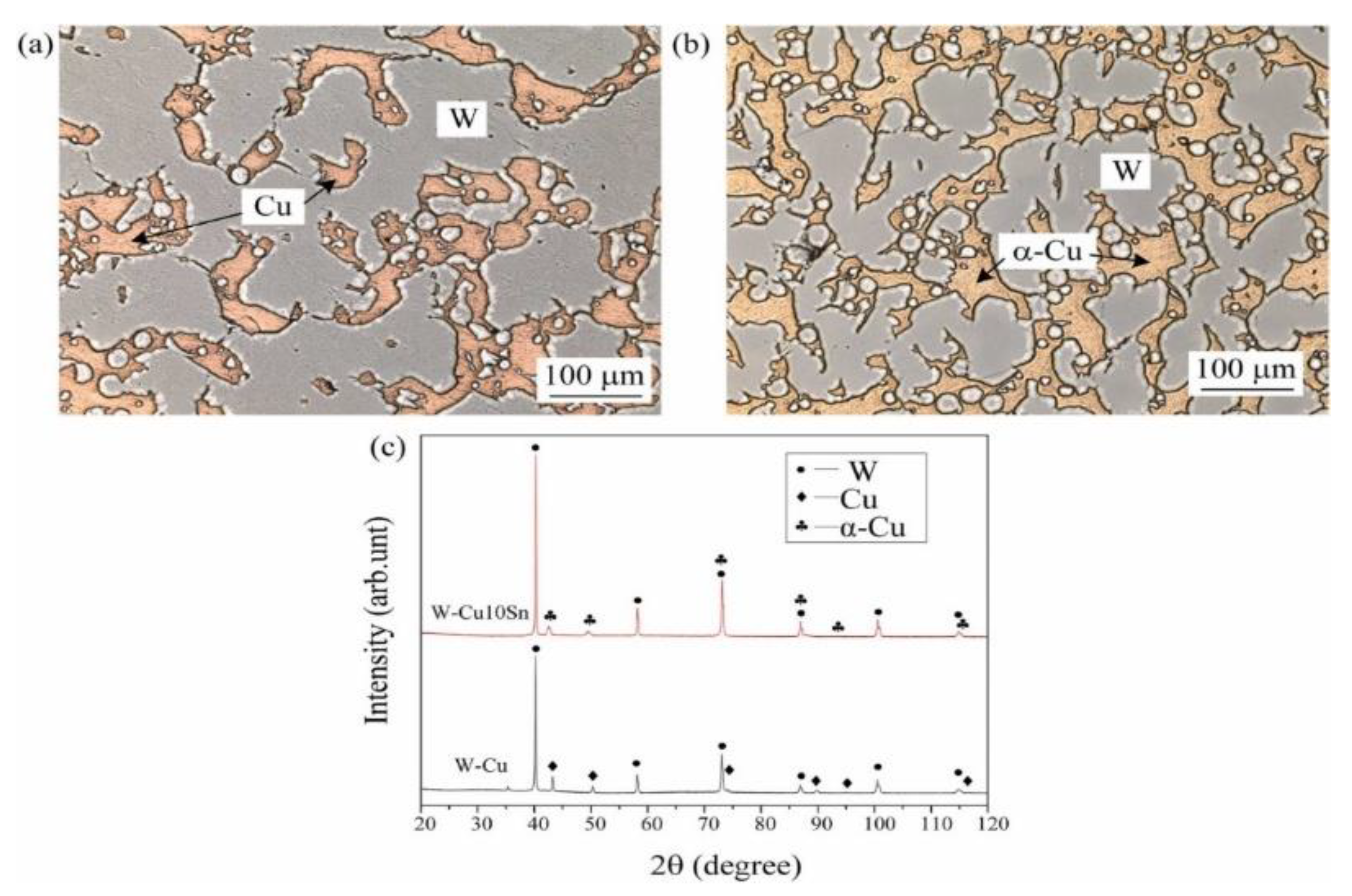 Metals 15 00197 g024 Metals 15 00197 g024
