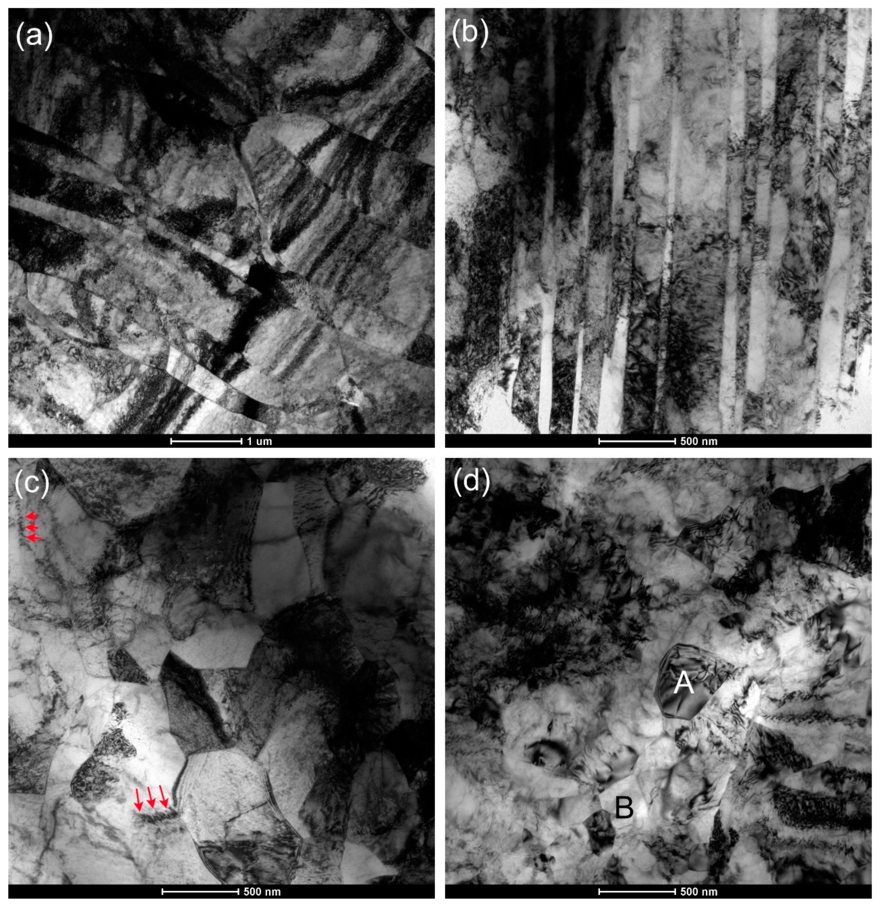 Metals 15 00201 g003