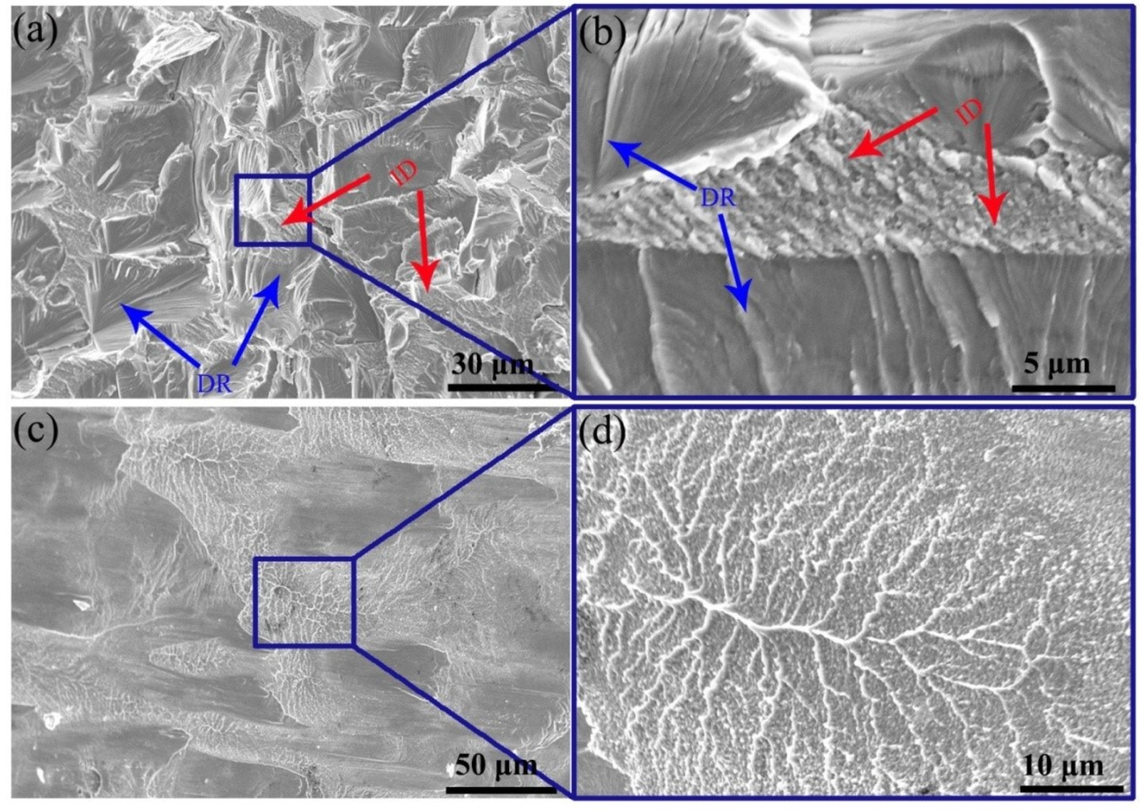Metals 15 00203 g009