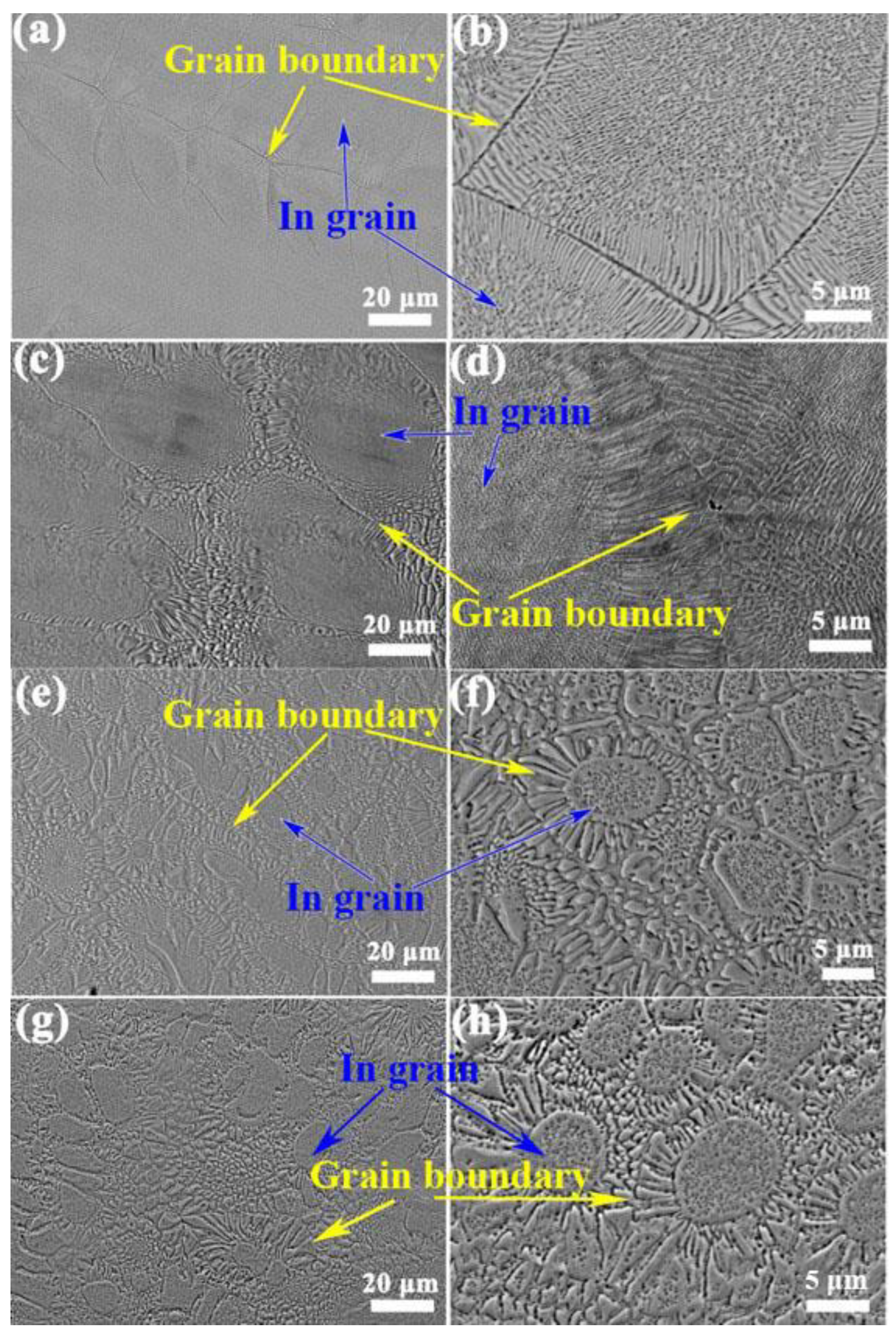 Metals 15 00207 g002