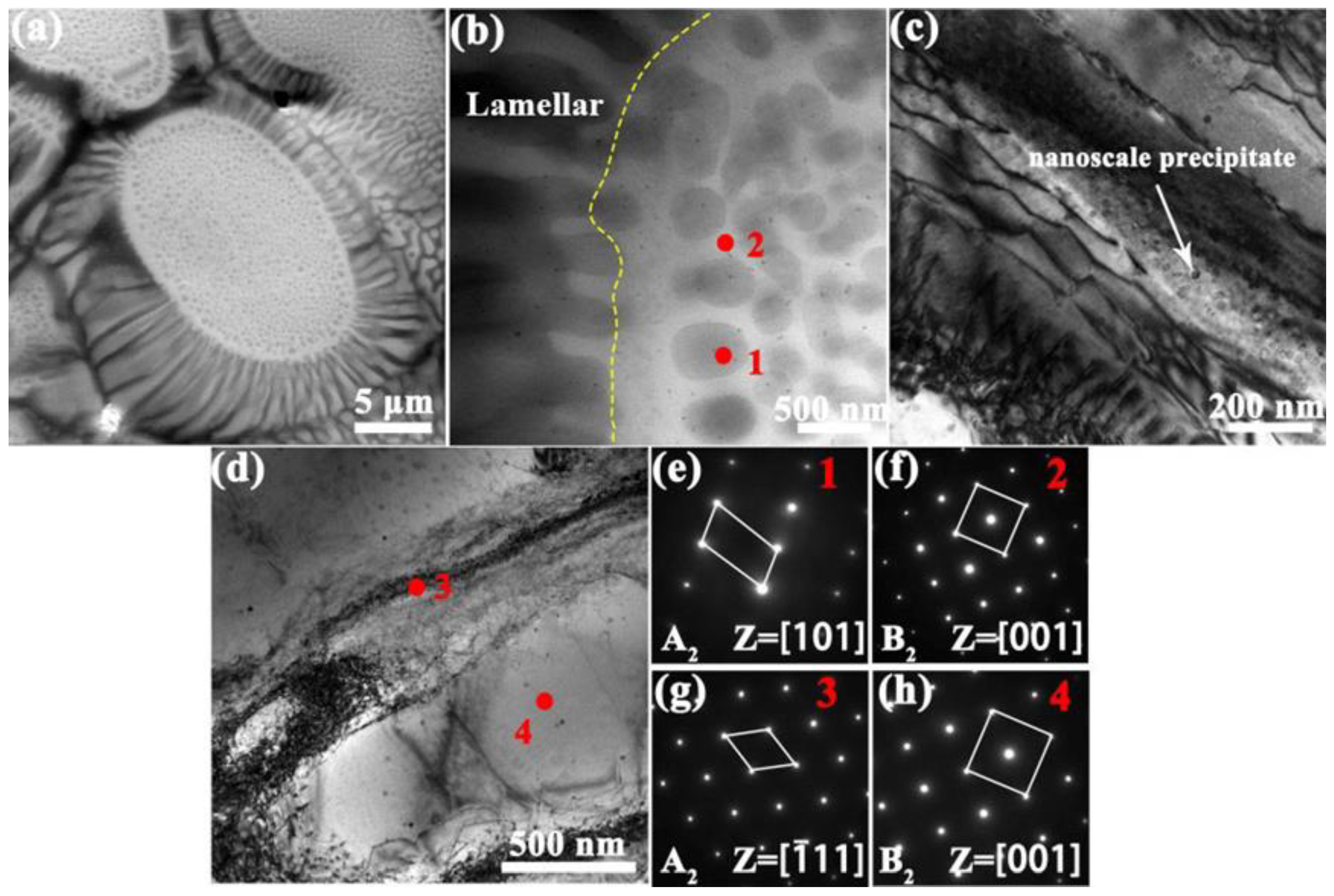 Metals 15 00207 g005