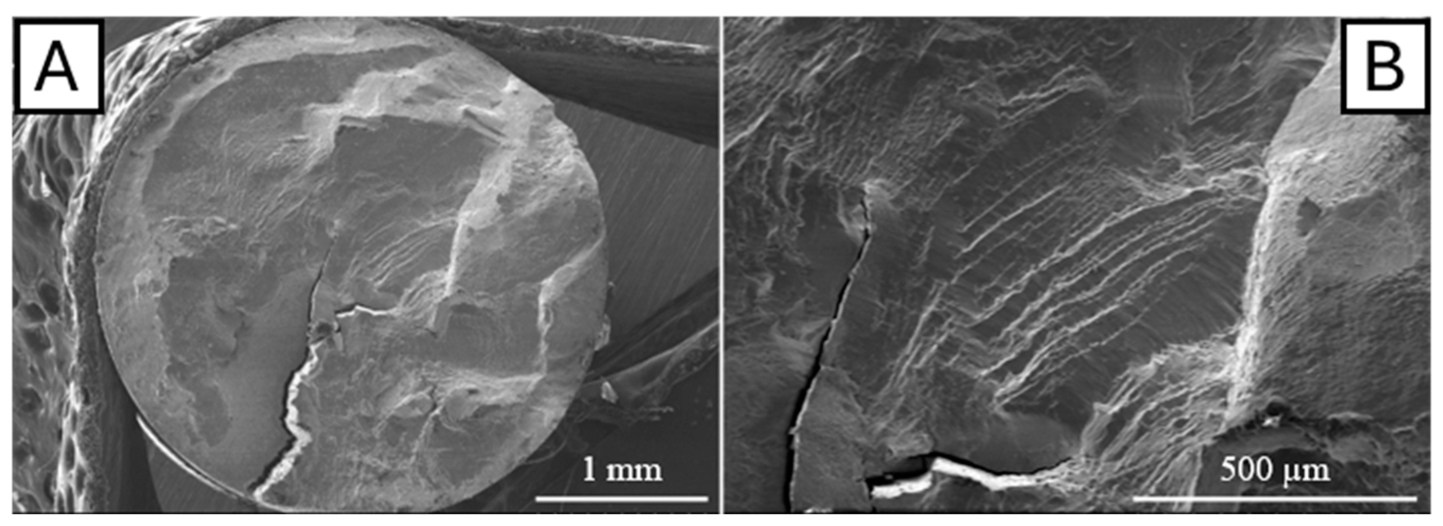 Metals 15 00216 g007