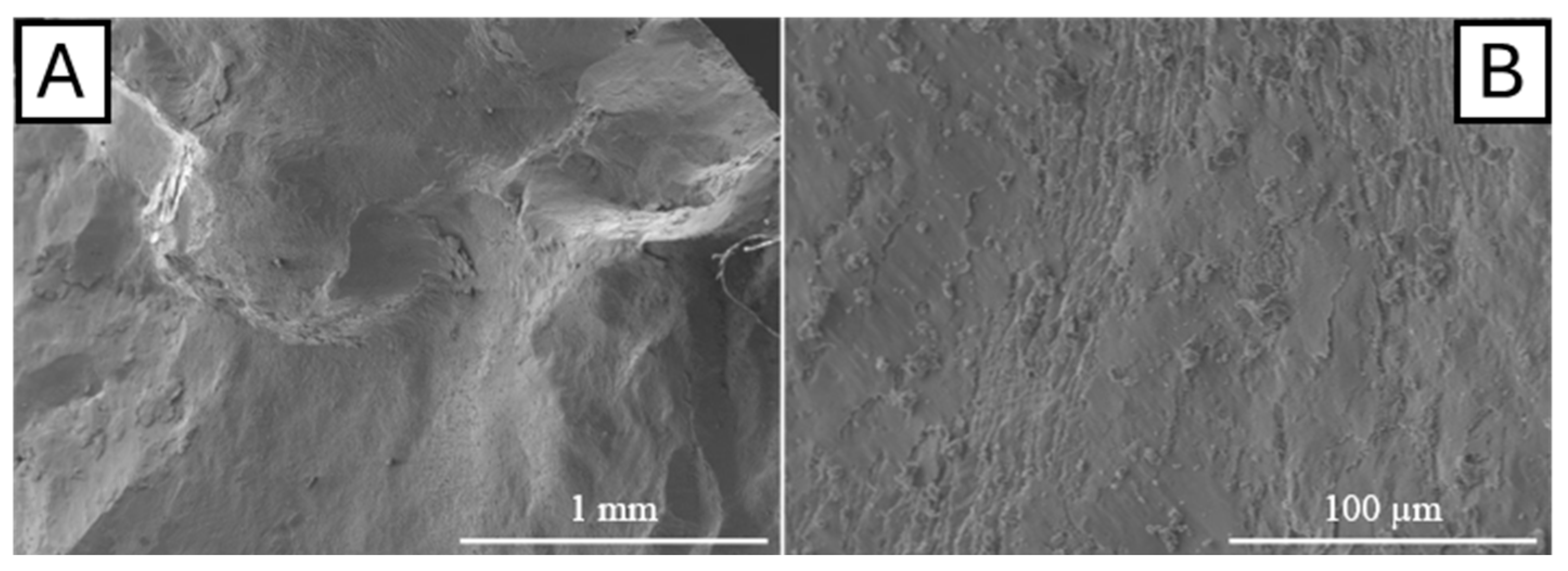 Metals 15 00216 g010