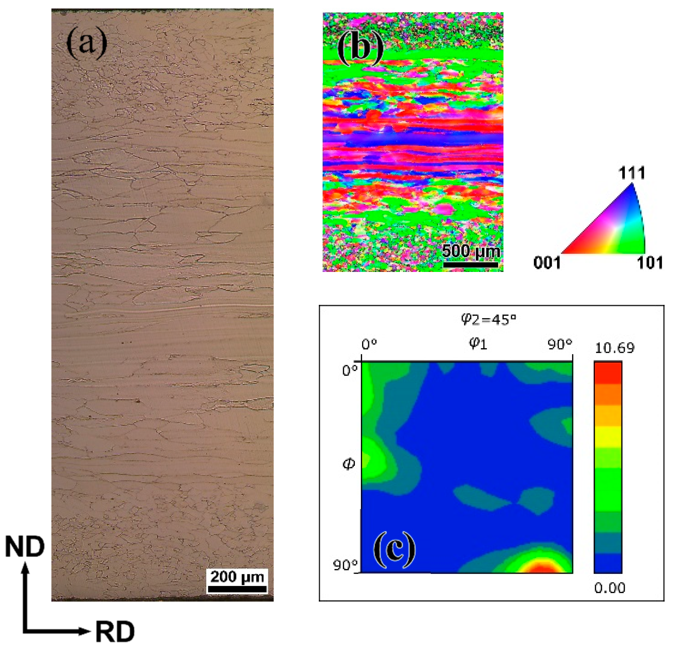 Metals 15 00217 g001 Metals 15 00217 g001