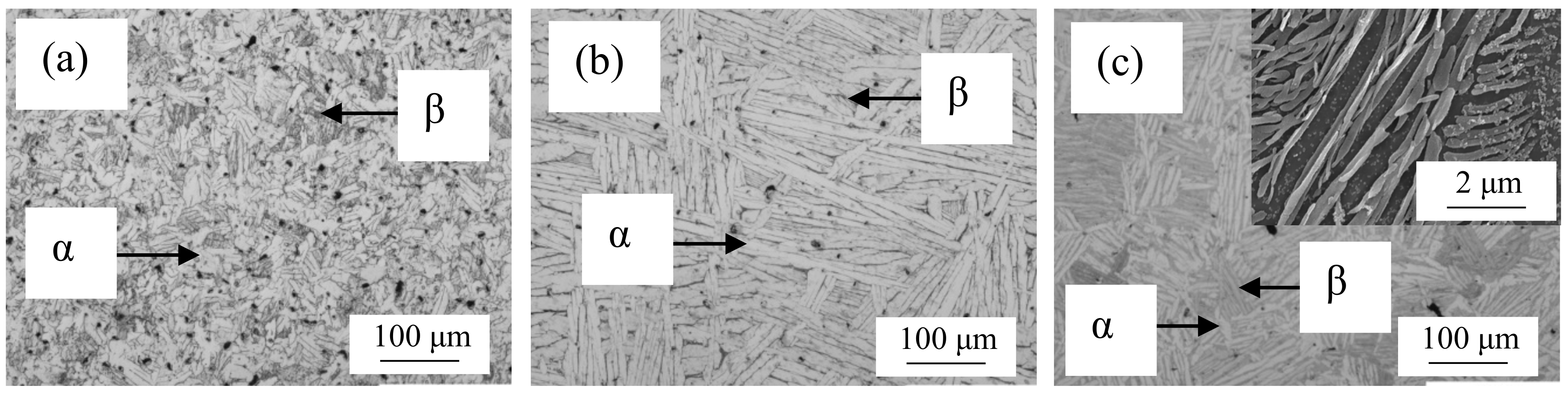 Metals 15 00222 g001