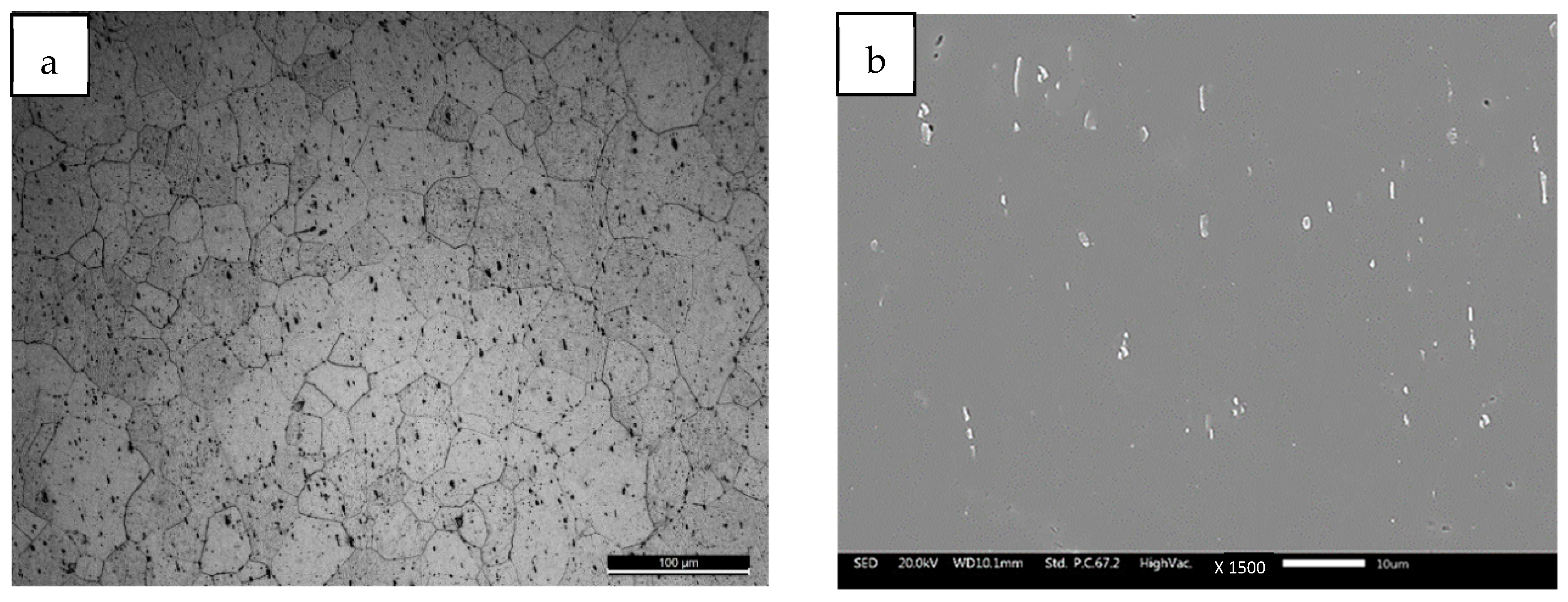 Metals 15 00224 g001