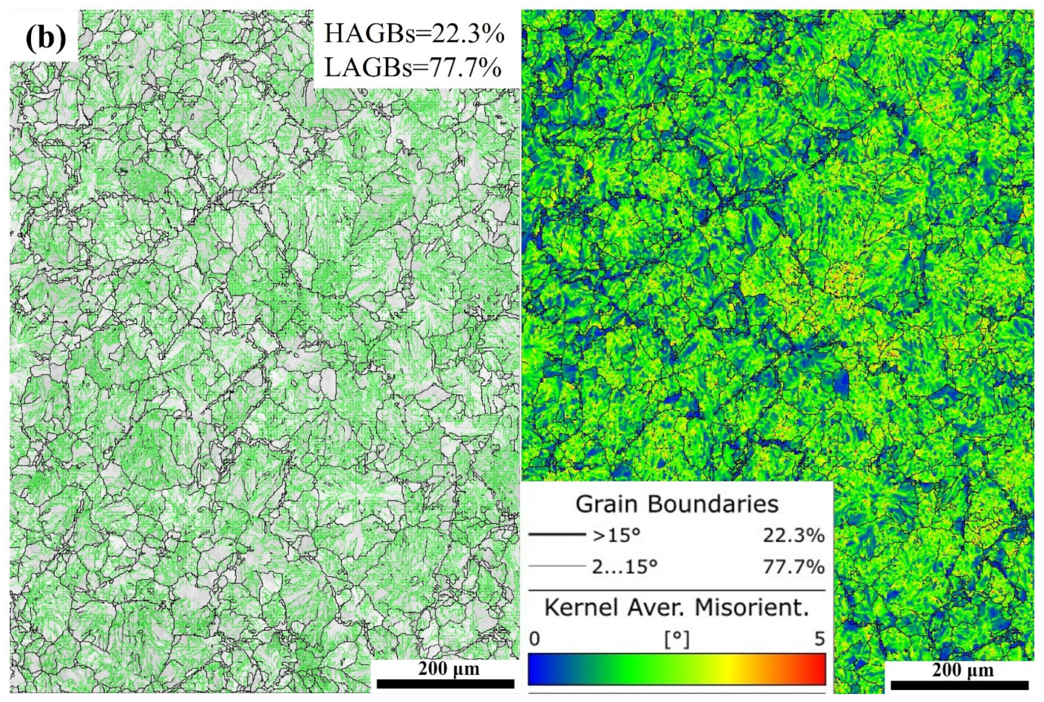 Metals 15 00226 g009b