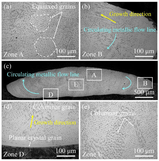 Effect of Processing Parameters on the Microstructure and