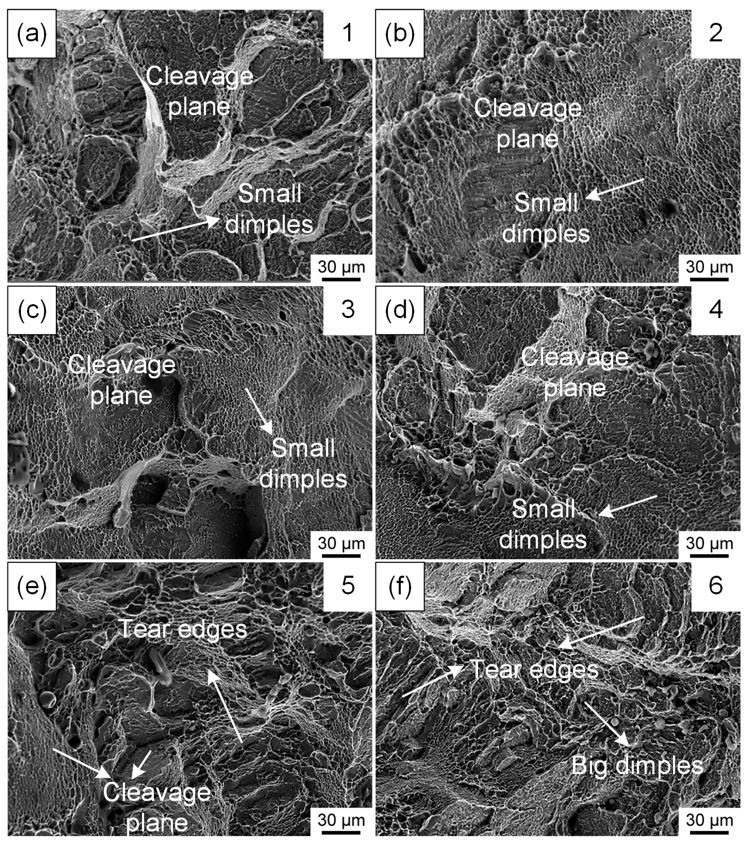 Metals 15 00233 g016