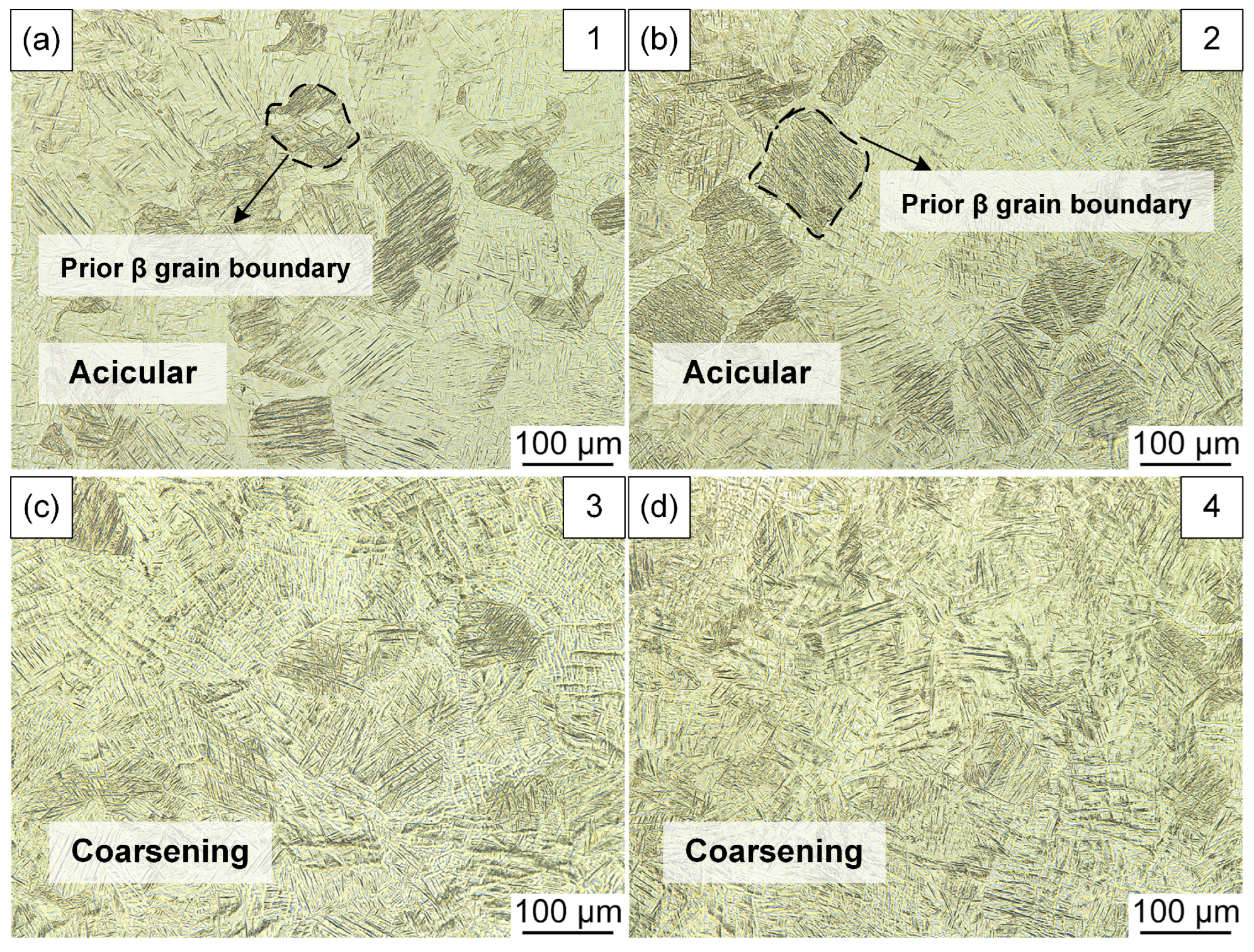 Metals 15 00233 g017