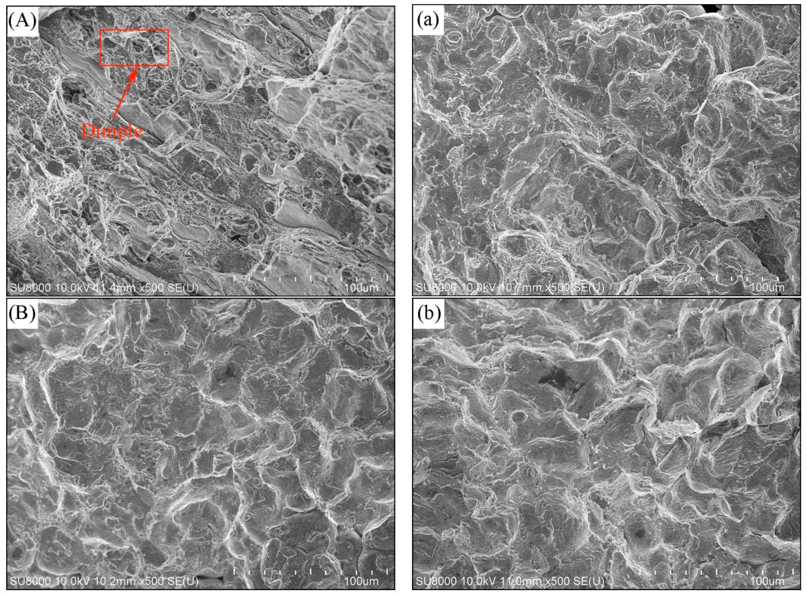 Metals 15 00234 g006a