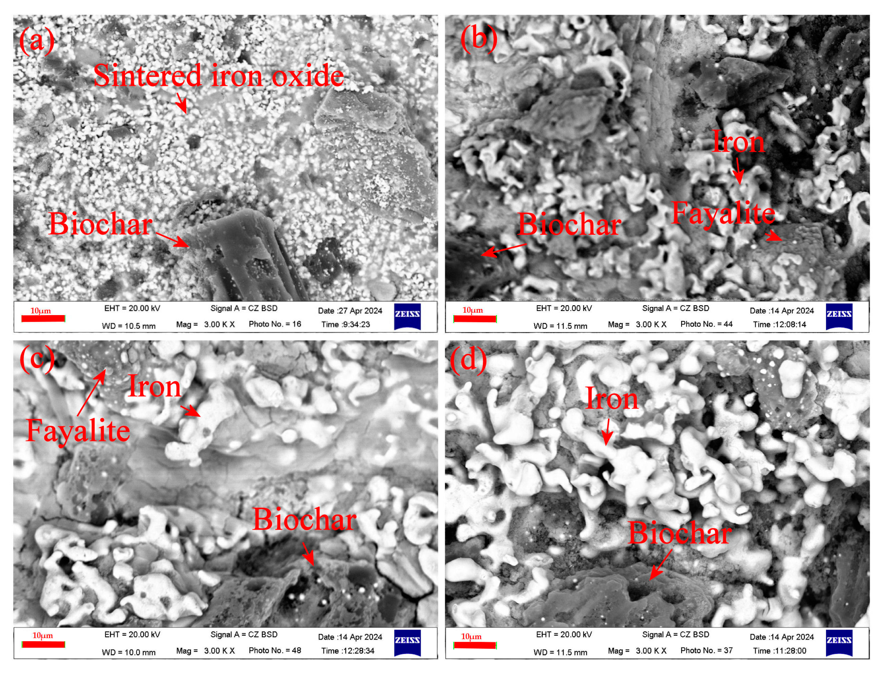 Metals 15 00236 g012