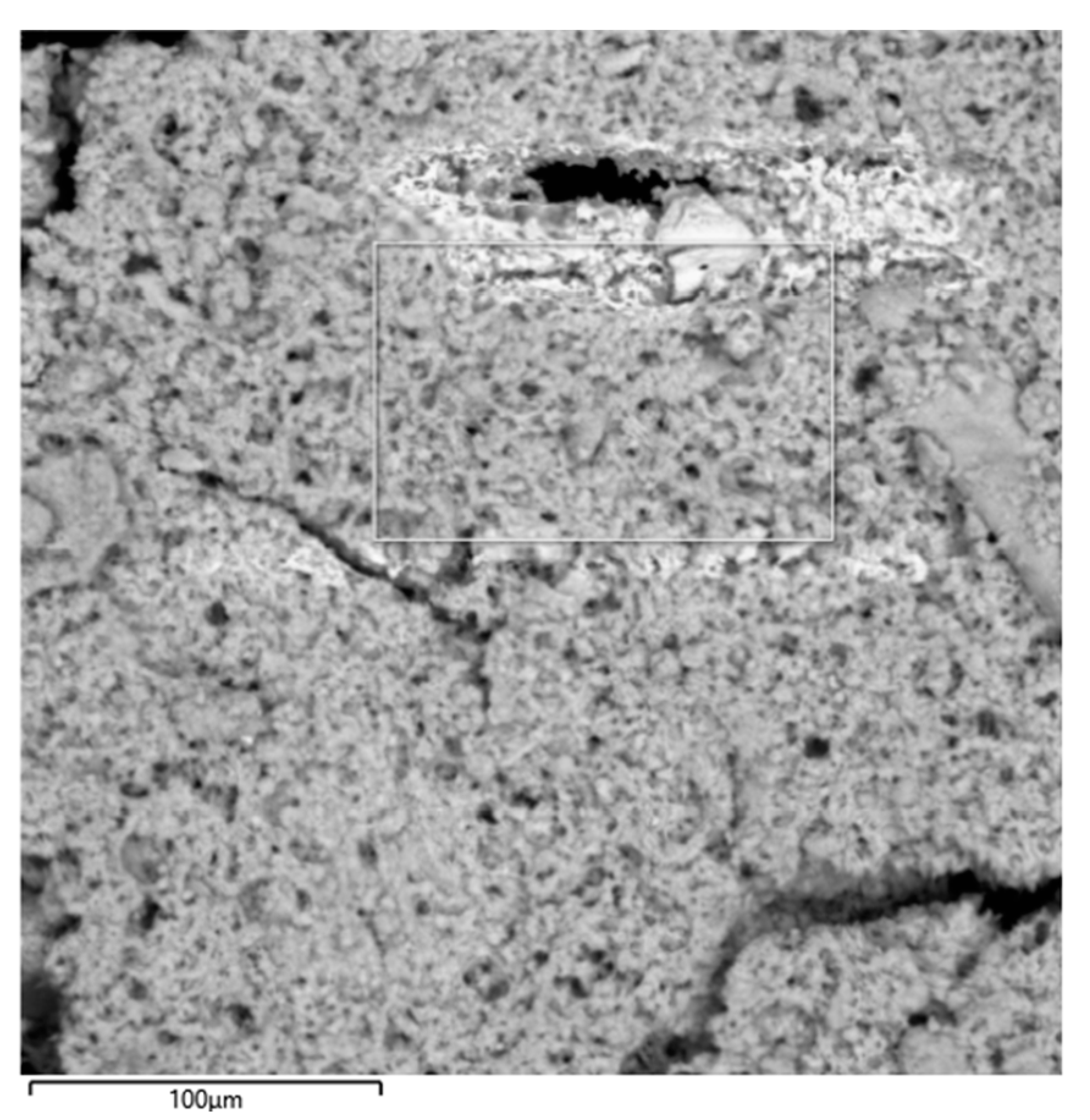 Metals 15 00239 g007