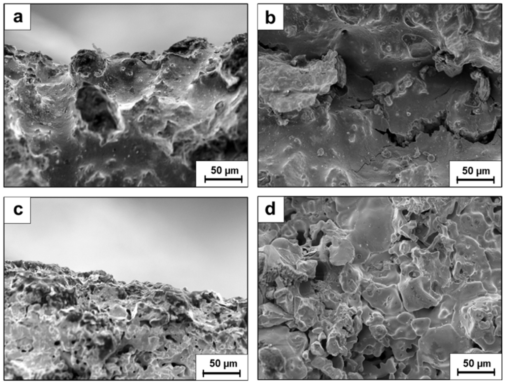 Metals 15 00243 g004