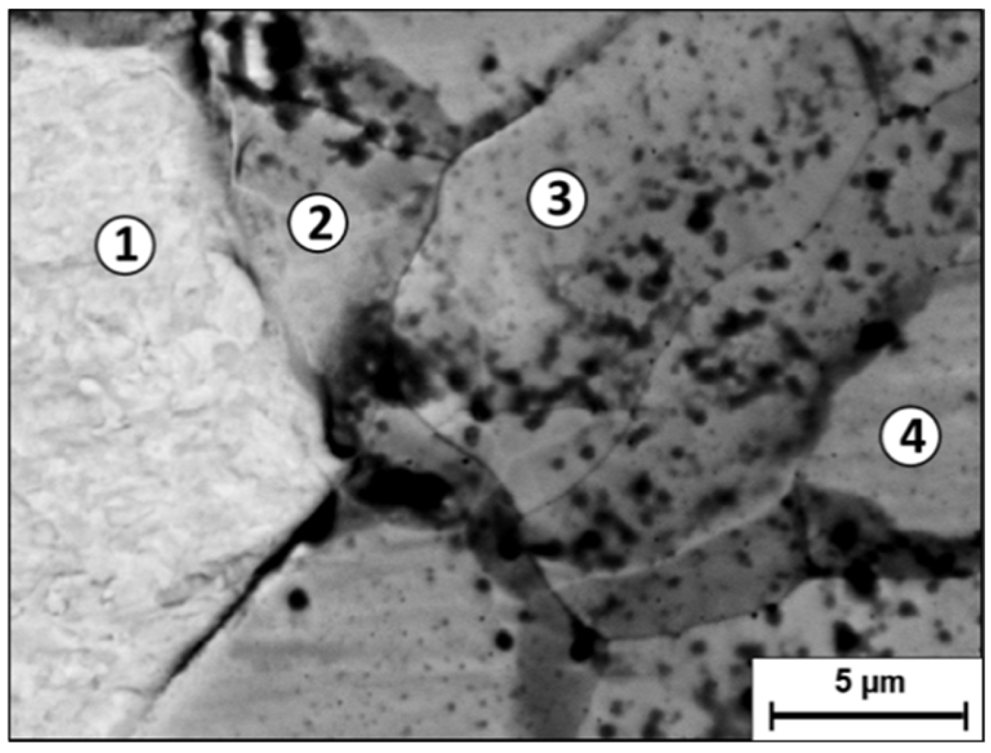 Metals 15 00243 g009