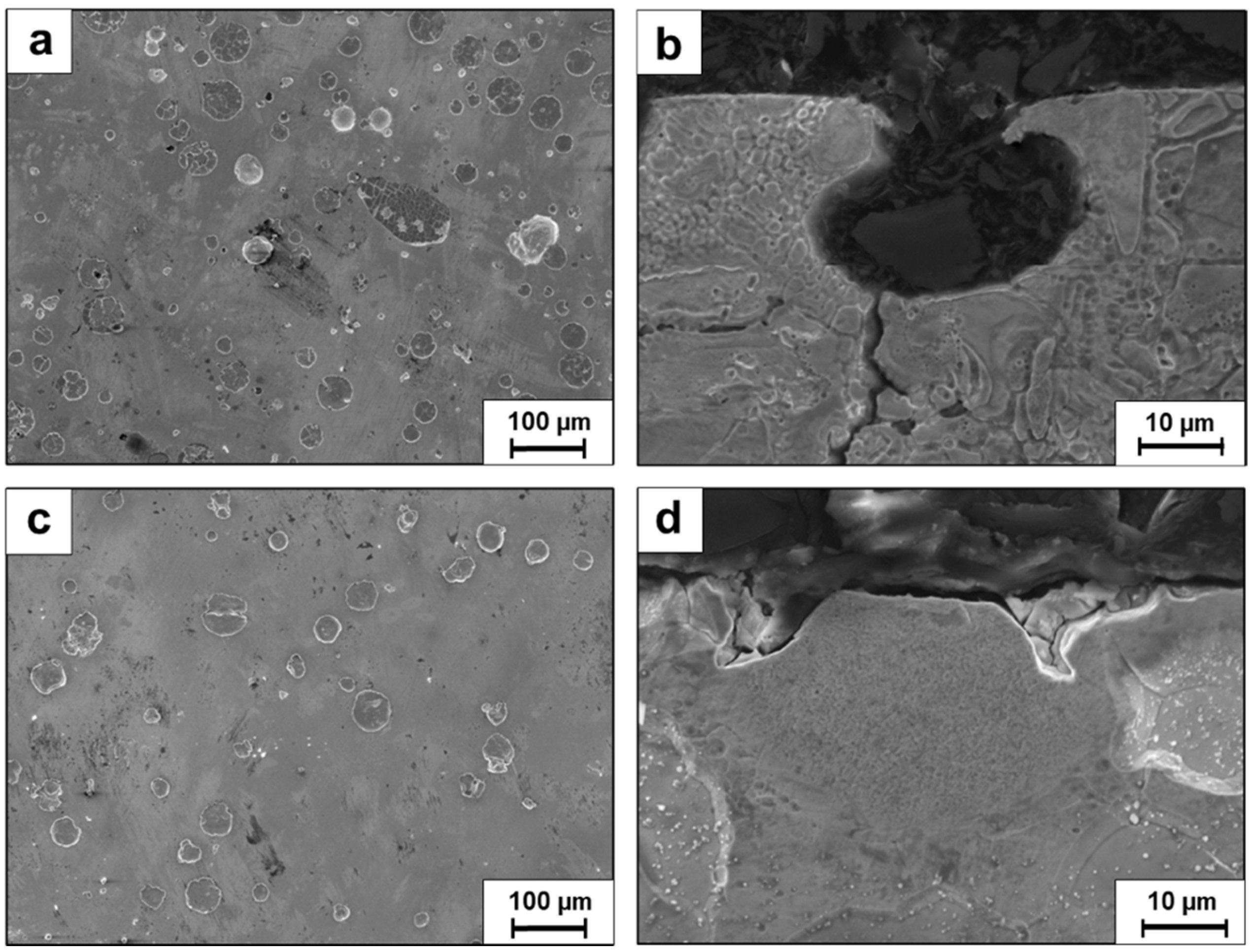 Metals 15 00243 g012