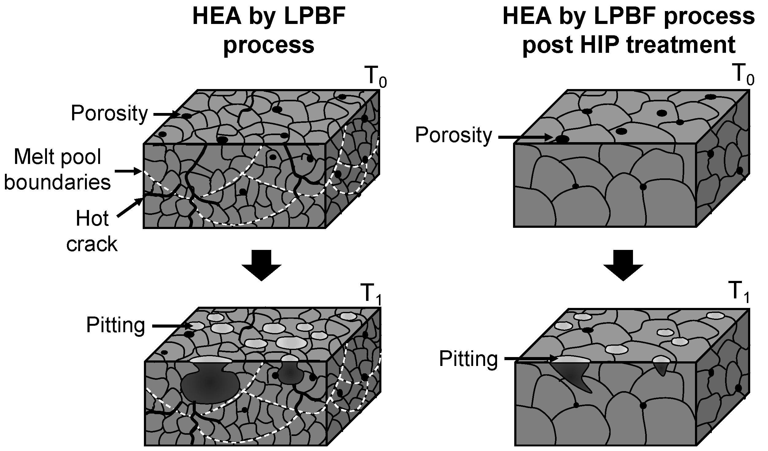 Metals 15 00243 g014