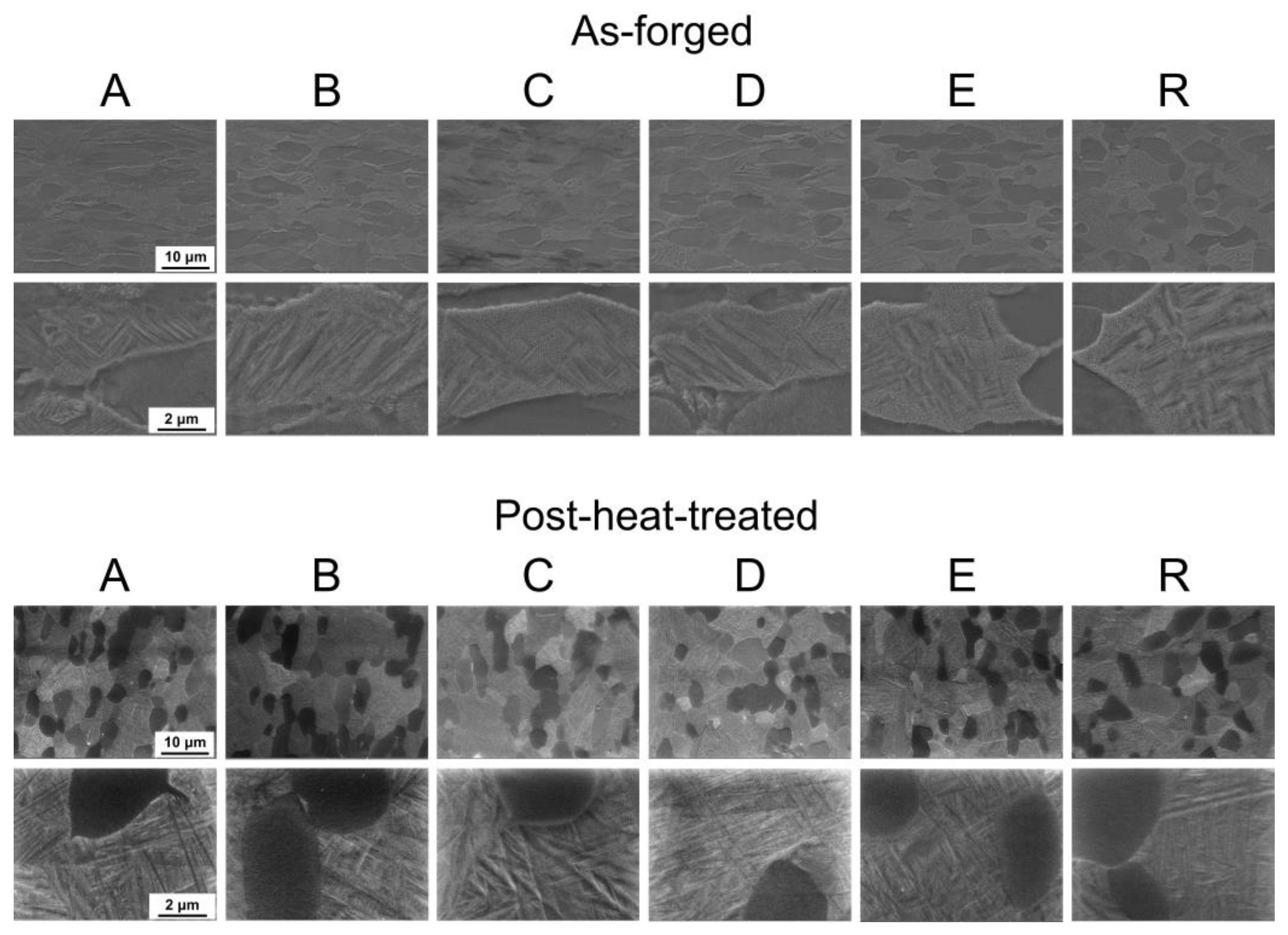 Metals 15 00244 g007