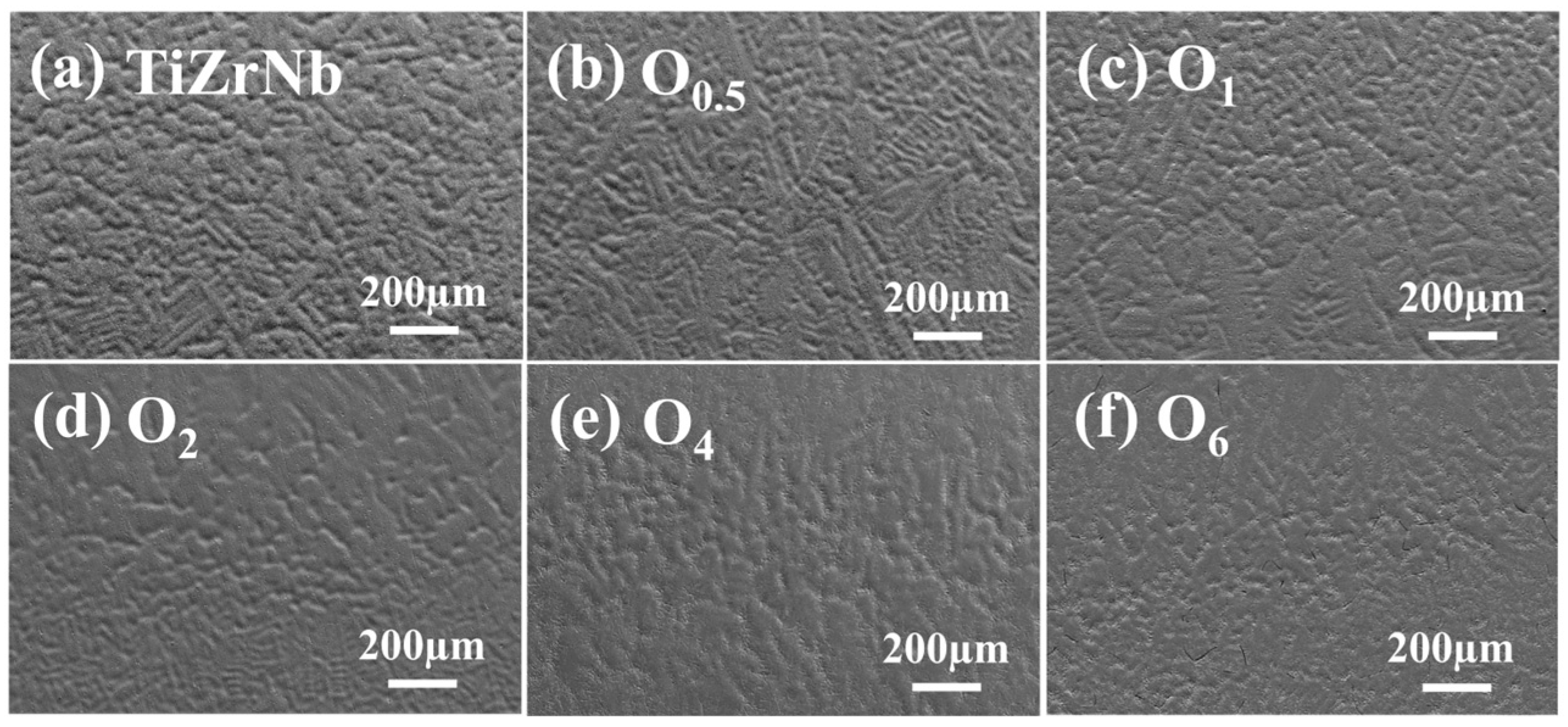 Metals 15 00250 g002