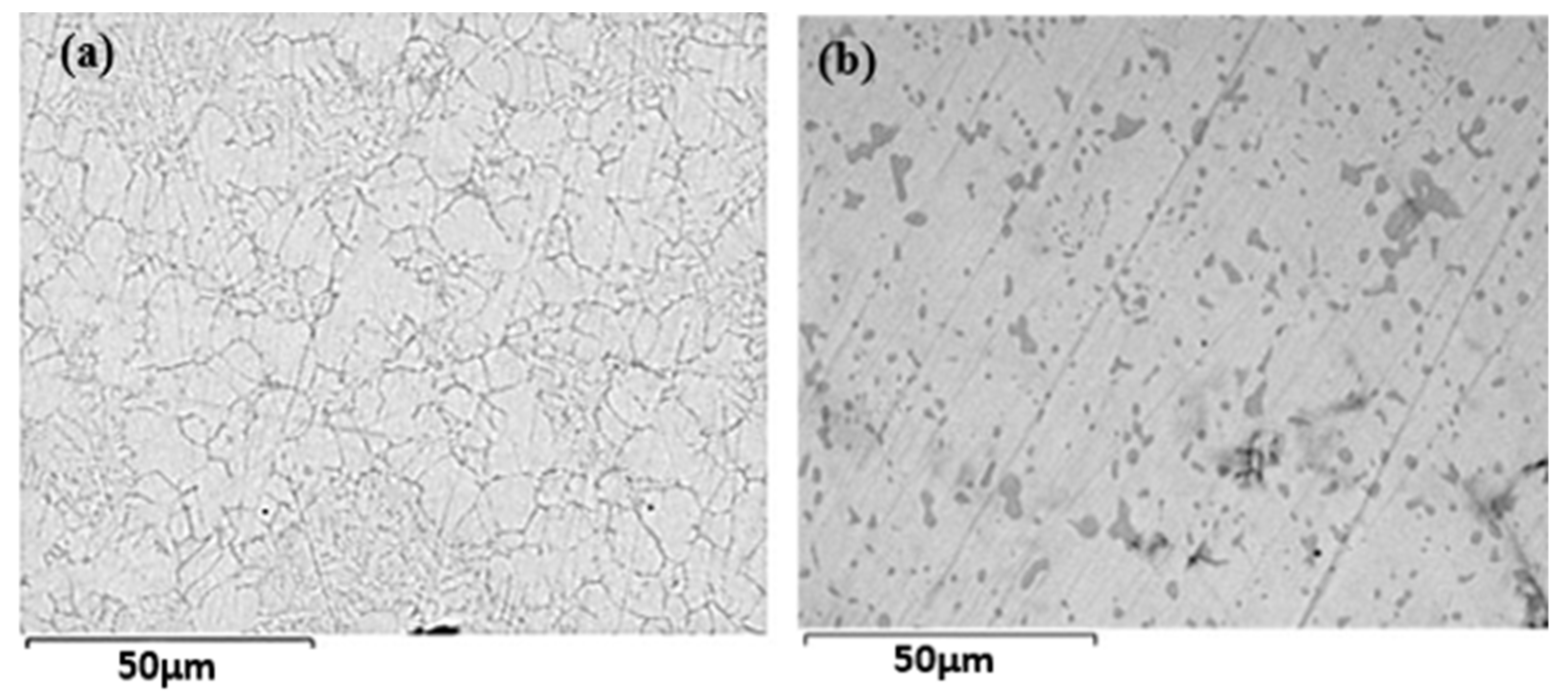 Metals 15 00251 g001